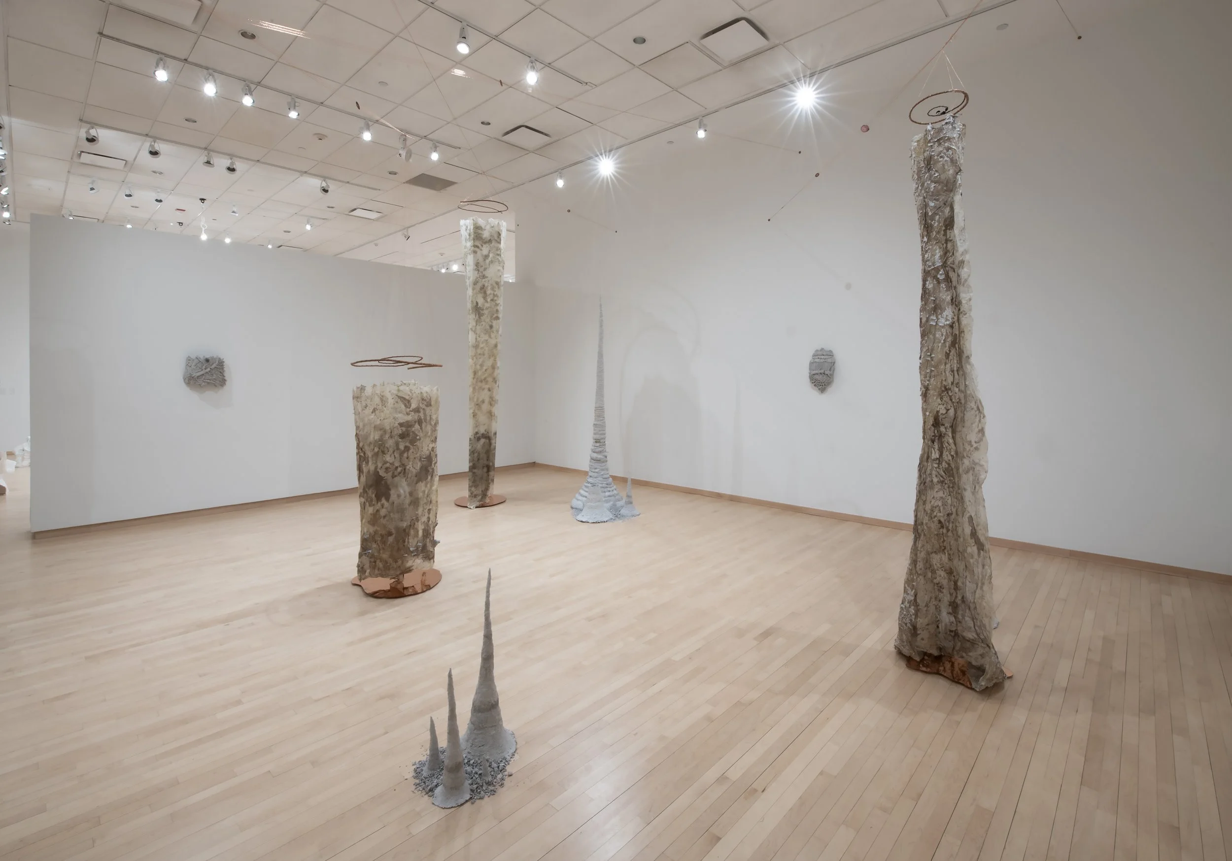 "If a Tree Falls" Installation View, Photo Credit: John Carlano