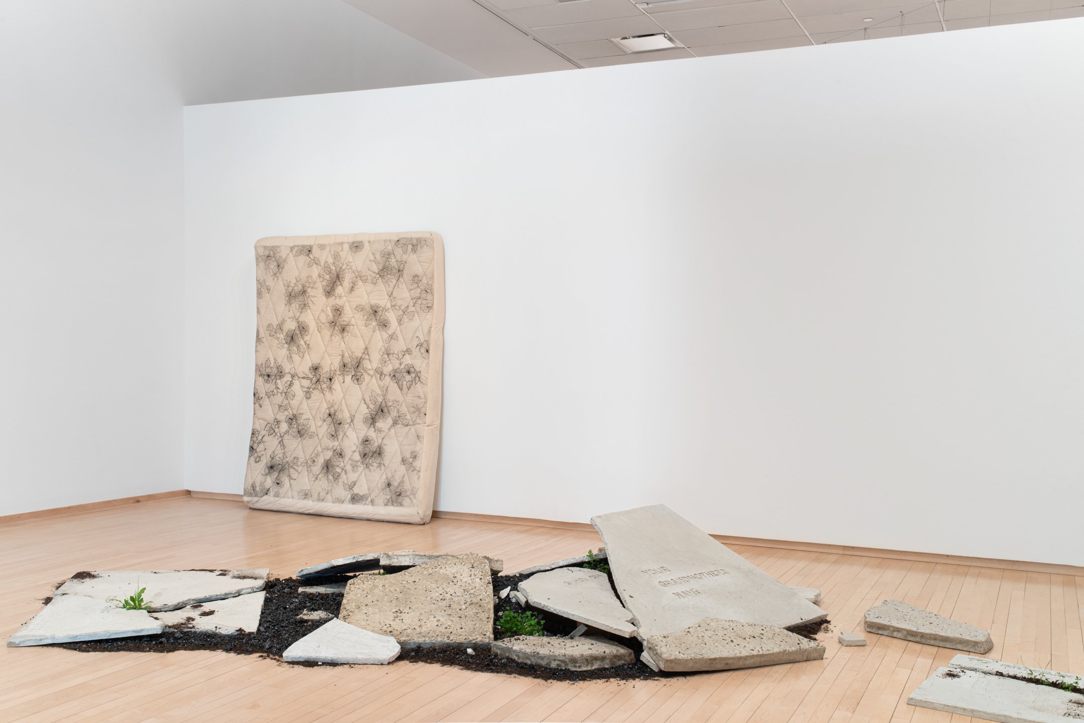 "Asphalt," "Parking Lot," "Rain Garden" (gallery installation shot), 2025, Photo Credit: Neighboring States