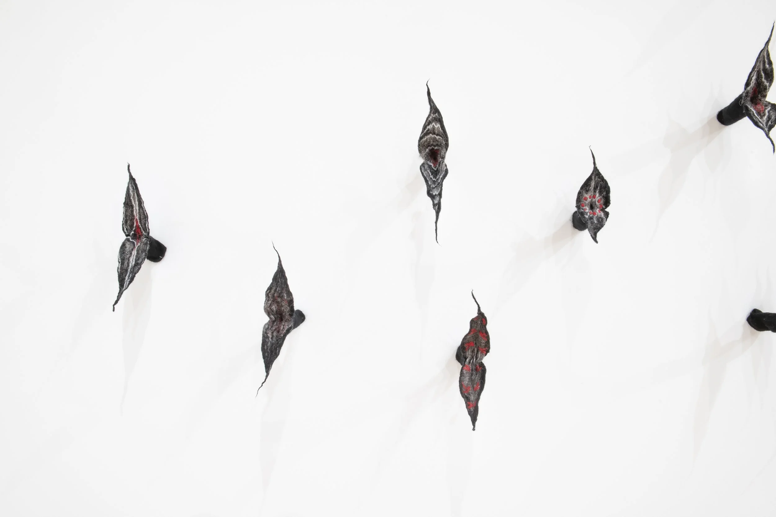 “Flock” (detail), Wool, Dimensions variable. Photo
Credit: John Carlano