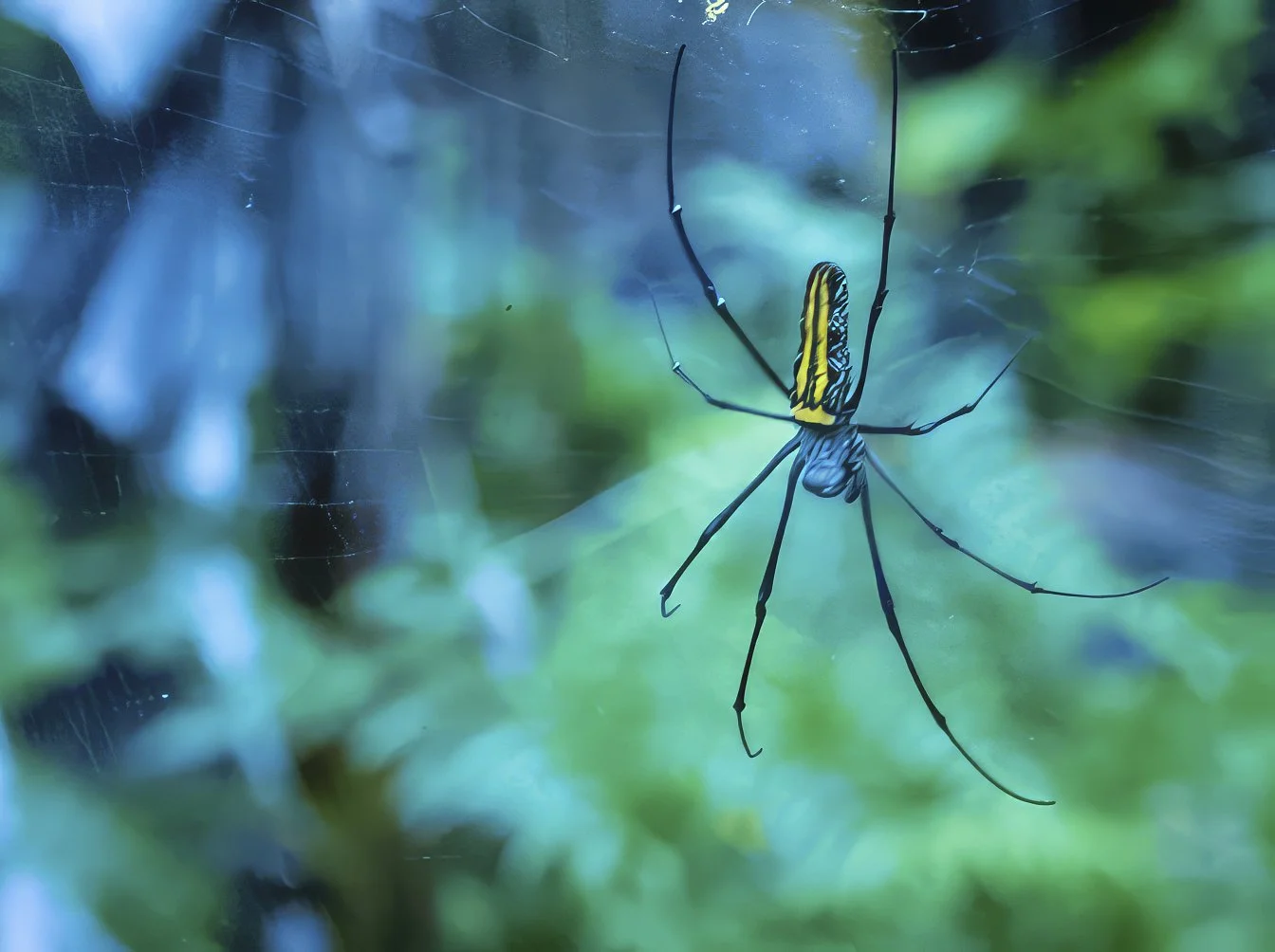 “Gagambang Kuryente, or Electric Spider” looping video (1:00) 15” by 9” inches, 2026 