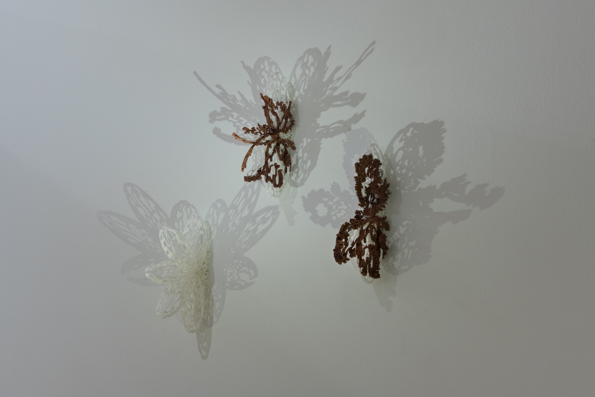 "Seeping"
Resin Print, Copper, 10” x 6” x 1.5” Each
Photo Credit: Sam Fritch