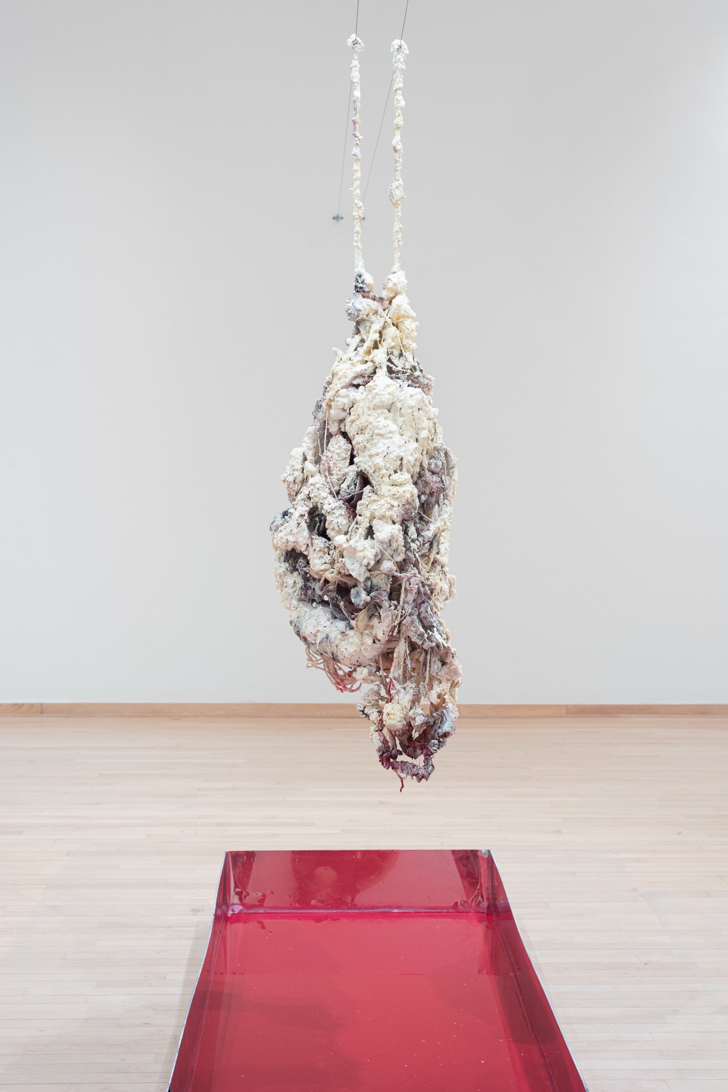 "Ashes no longer bear the essence of humans!" 2025,
wax, silicone, recycled fabric and rope, plaster, tubes, spray paint, water, aluminum, mirror sticker. box: 70x 30x8 inches.