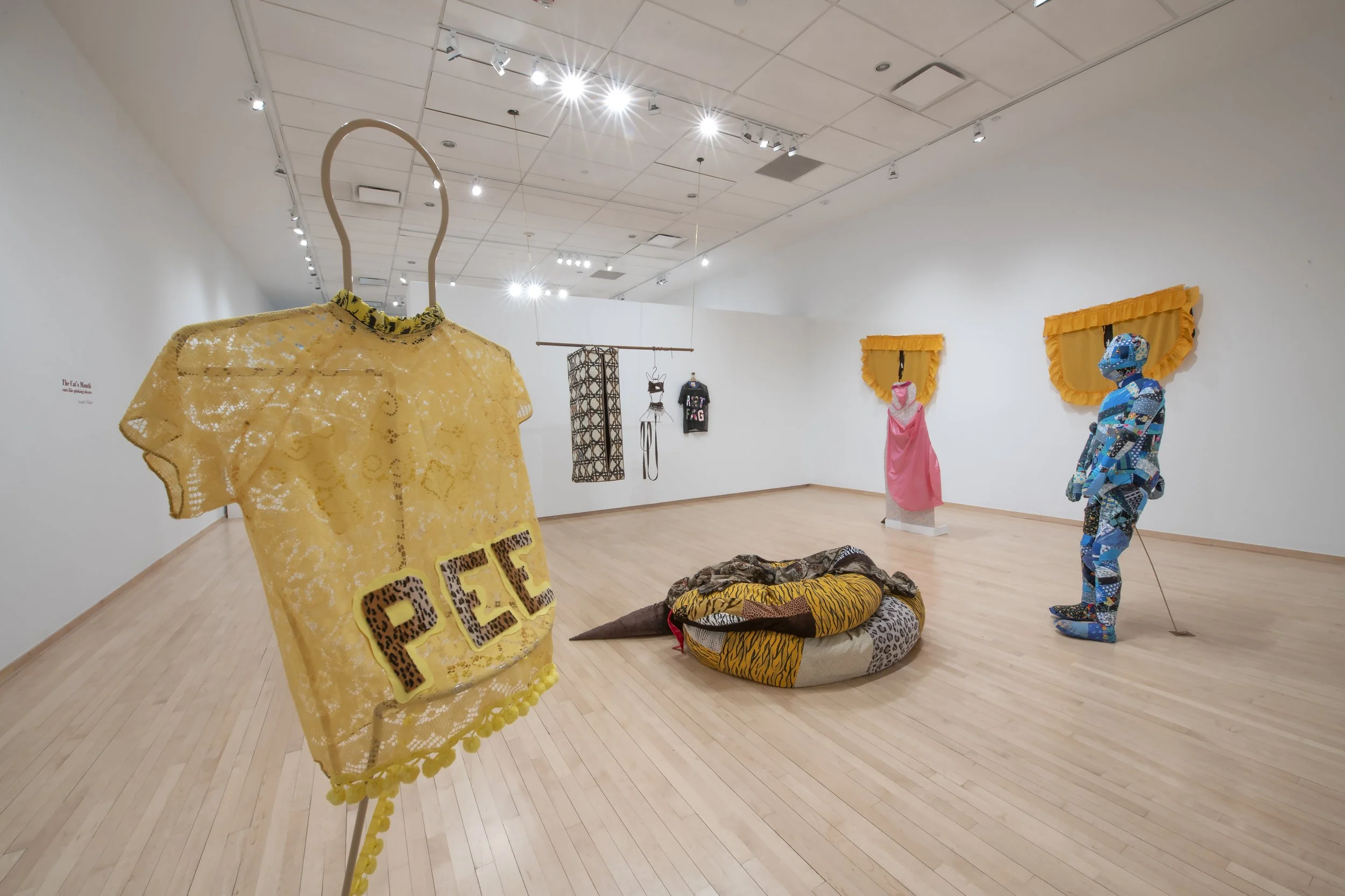 "The Cat's Mouth
cuts like pinking shears" Installation View. Photo Credit: John Carlano