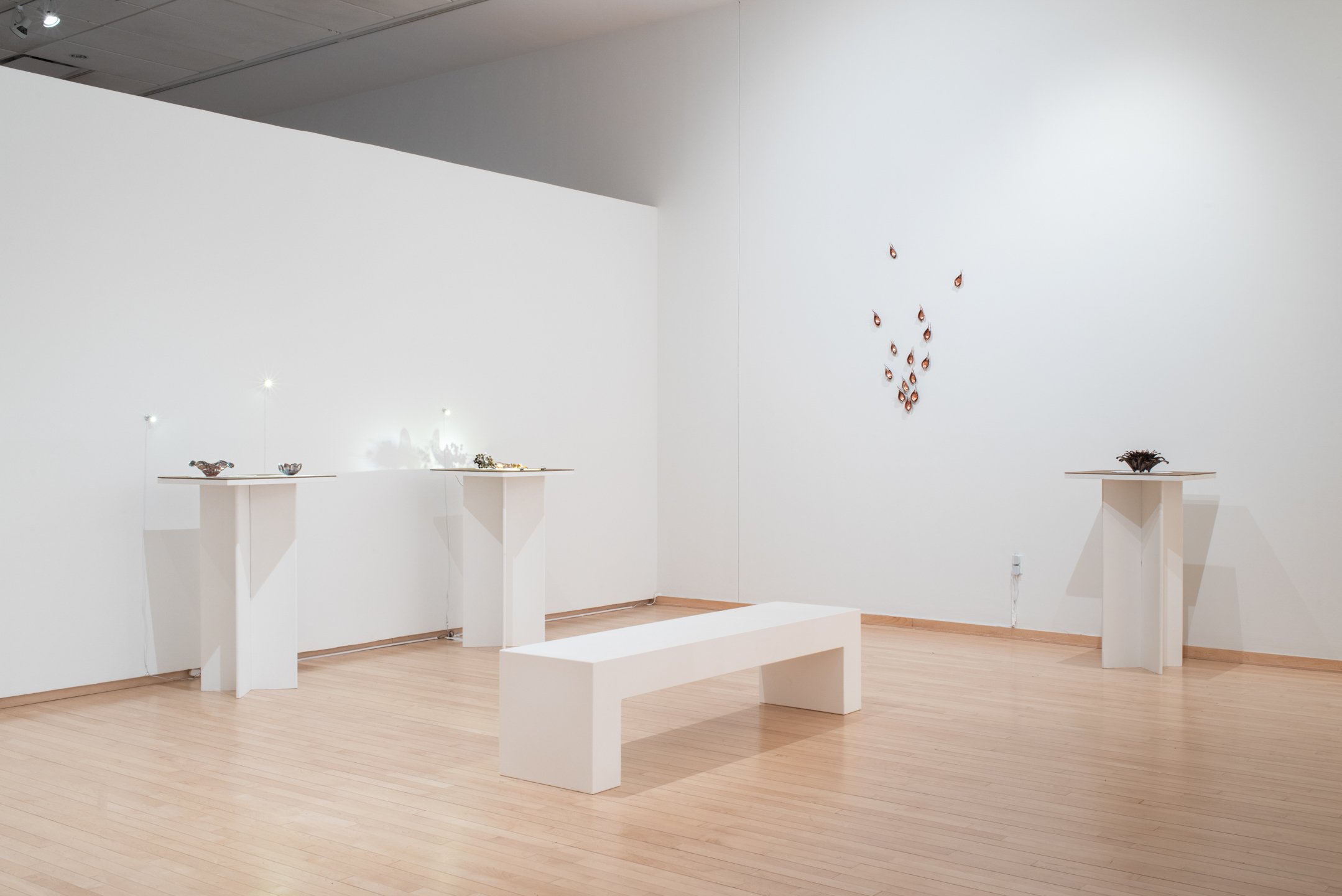 "Pattern & Presence"
Installation
Dimensions variable
Photo Credit: Neighboring States