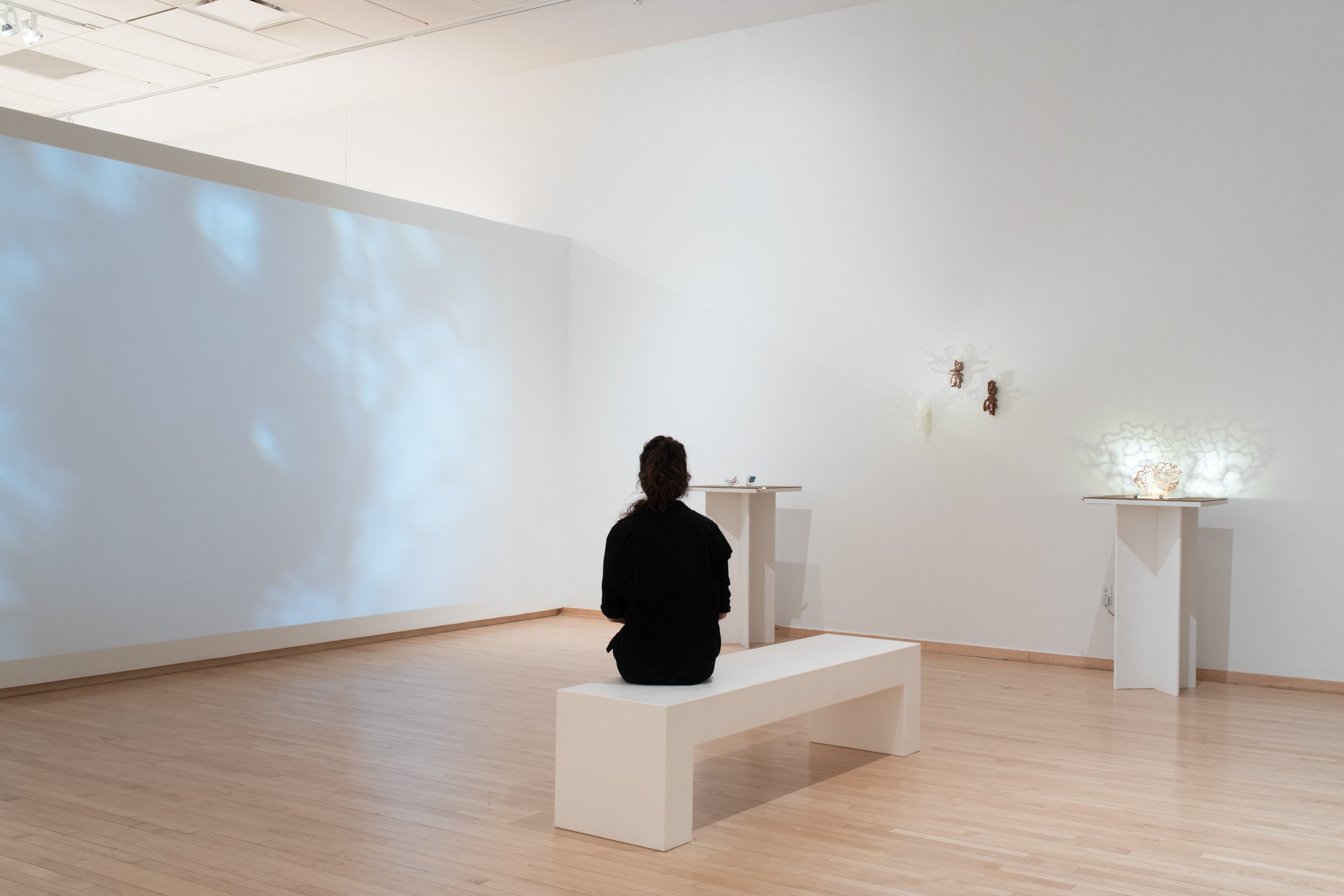 "Pattern & Presence"
Installation
Dimensions variable
Photo Credit: Neighboring States
