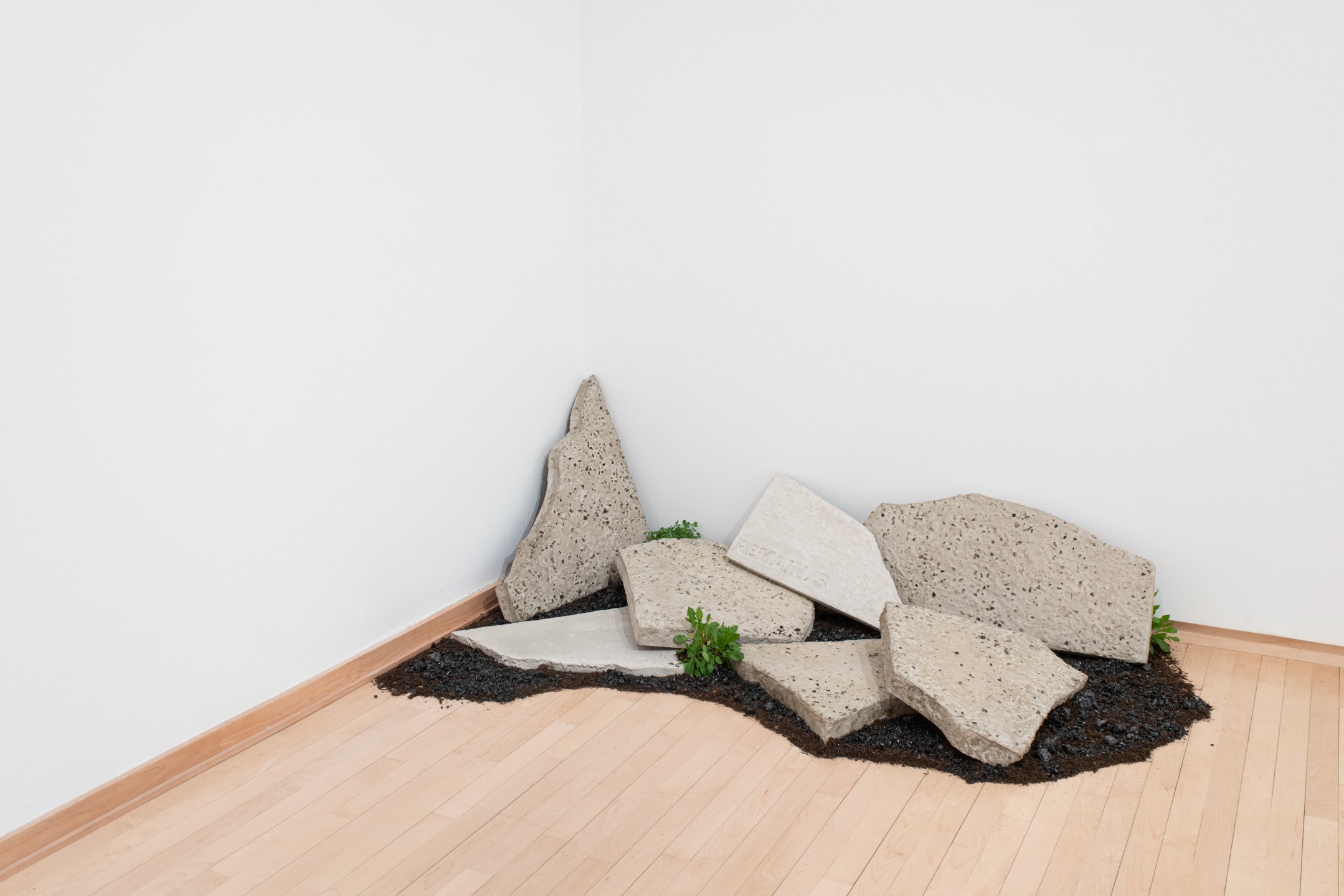 "To remain," 2025, Concrete, Glass, Dirt, Dandelion, clover, Goldenrod, Alfalfa. Photo Credit: Neighboring States