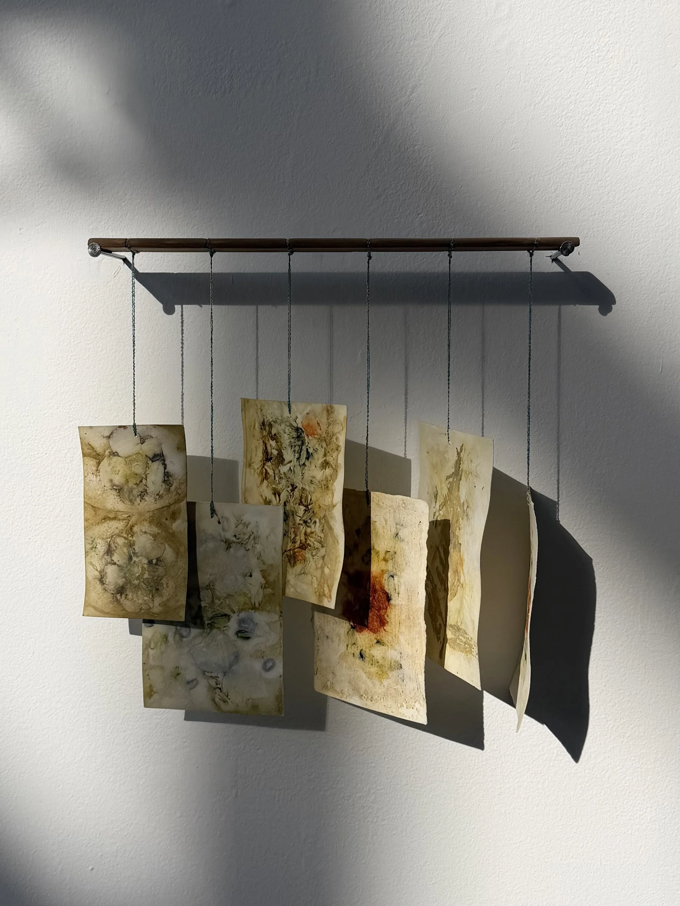     "Mobile Garden" 2026, wood, naturally dyed paper, 12" x 10"