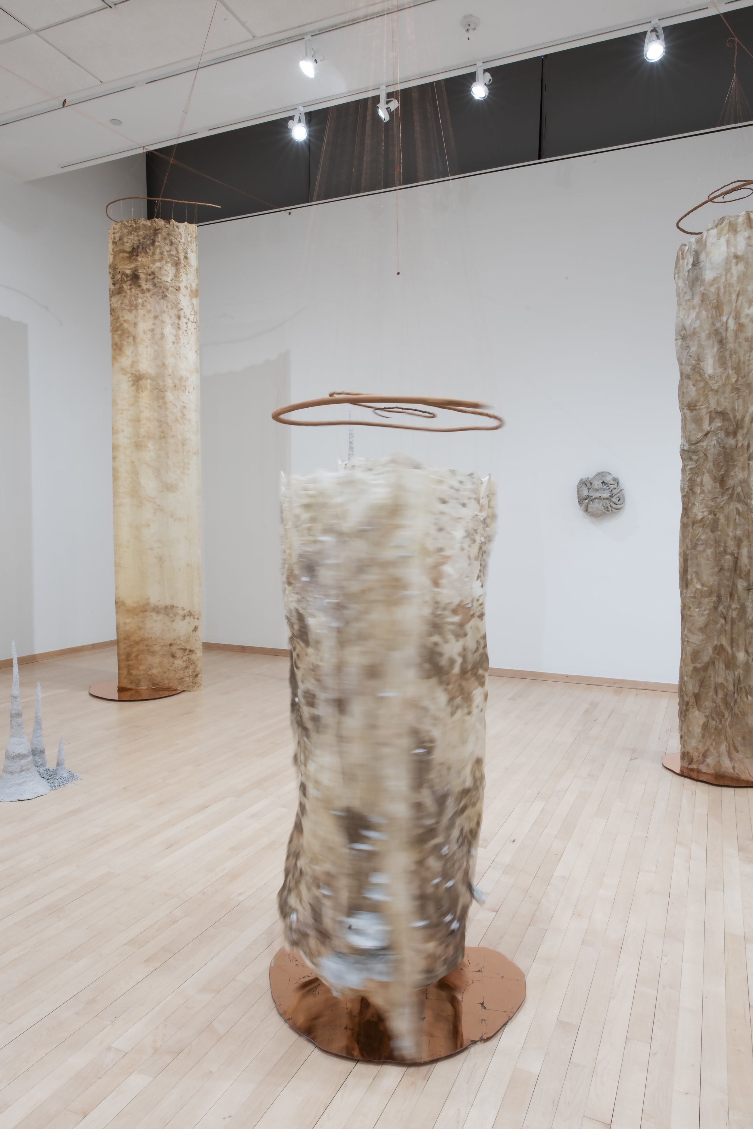 "Syntropy Forms (Saints)"

Installation view. 

Silk dyed with leaves foraged from the farm I give my compost. Smoketree branches from the parking lot next door. Copper wire, plate, and leaf. Catalogs and magazines collected from numerous friends, re