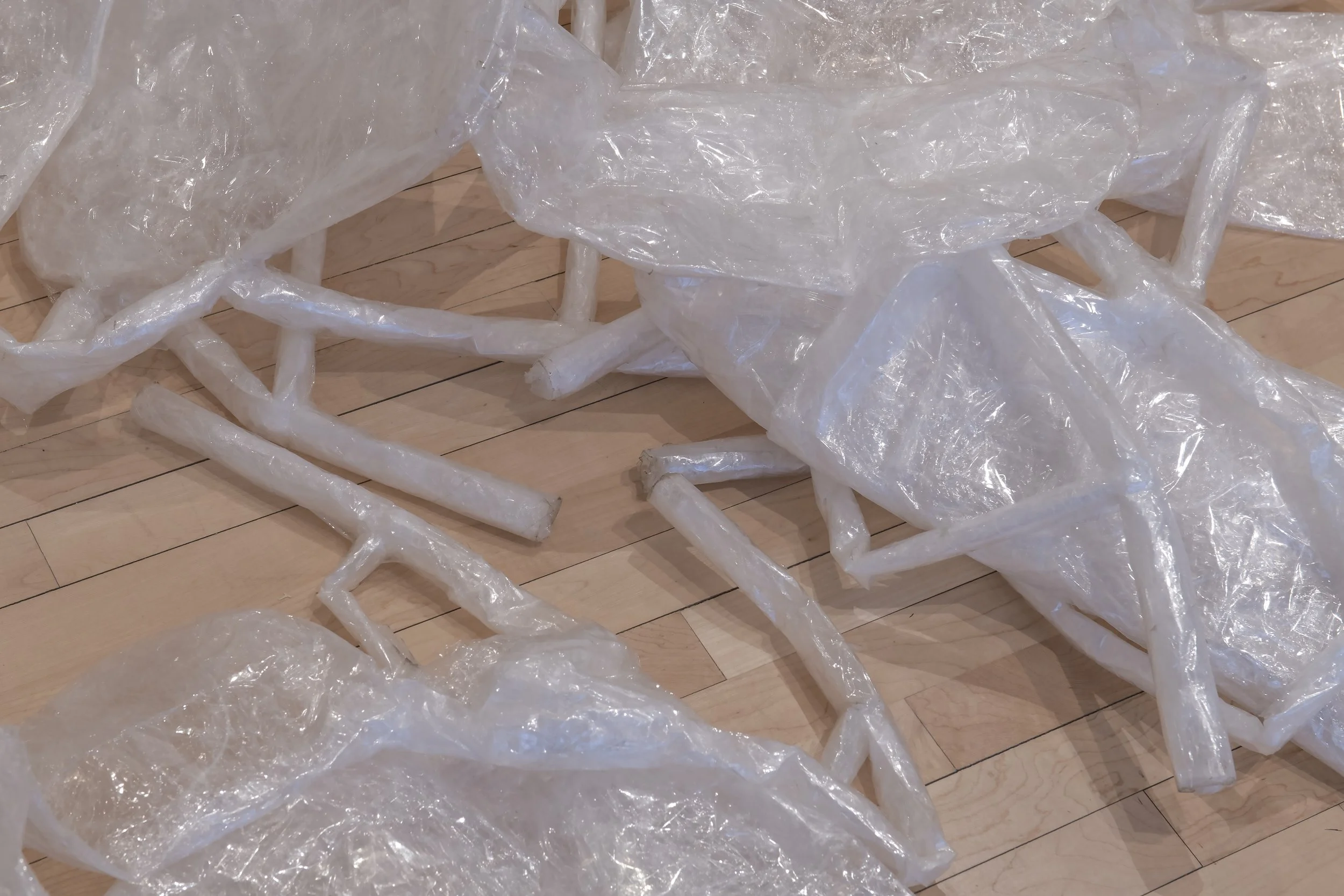 "life pro" (detail), Installation View, Photo Credit: John Carlano