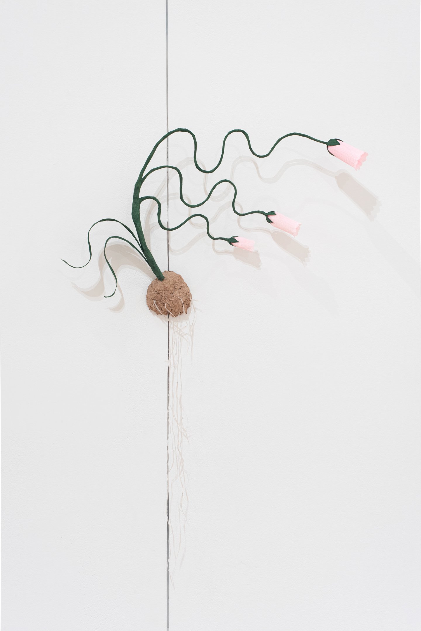 "Harmony" 2025, Paper, wire, speaker, recorded sounds of a tomato plant, 24" x 40", Photo Credit: Neighboring States
