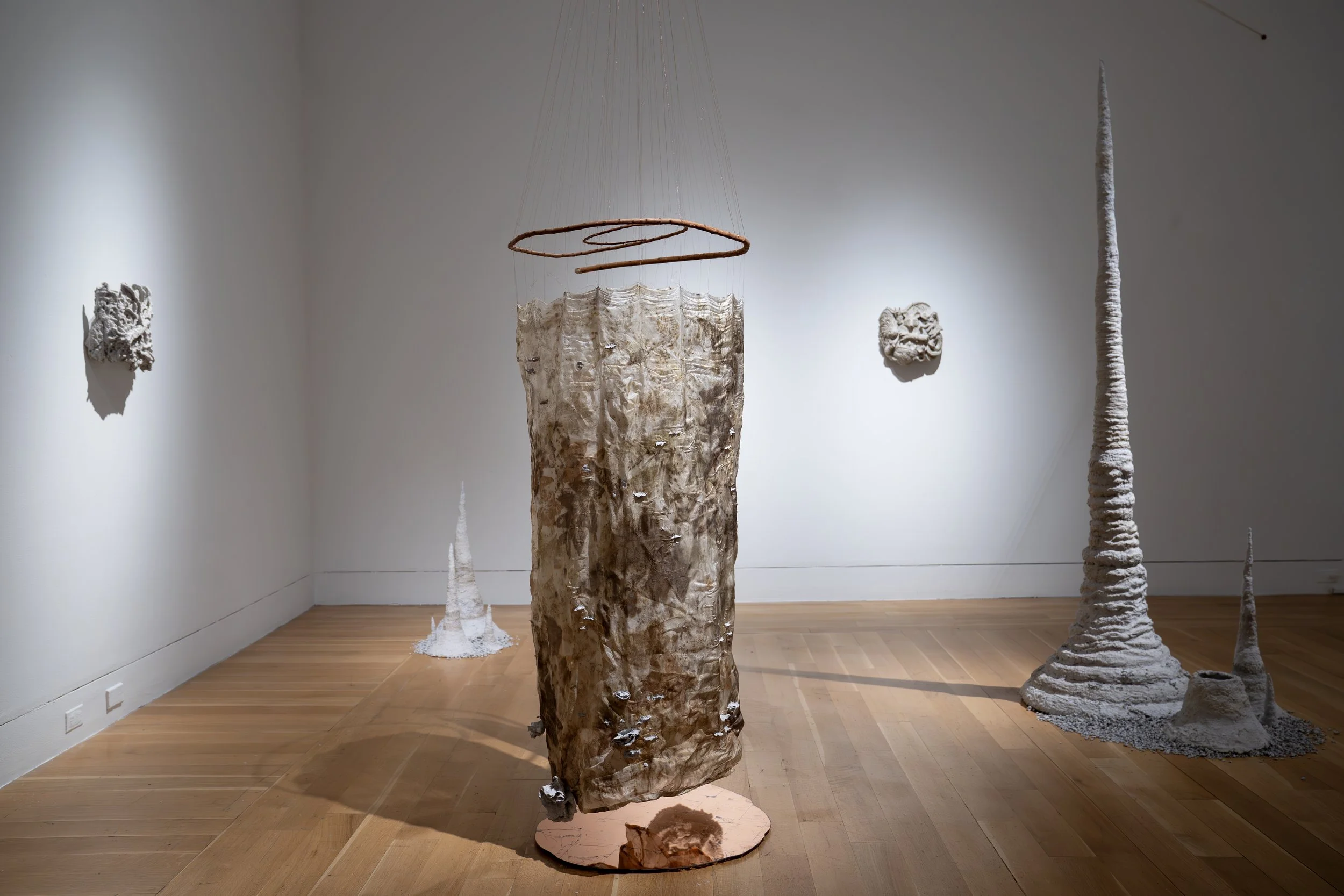 Meredith Tenney-Free, 
Syntropy Forms (Saints), 
2026, 
Silk dyed with leaves foraged from the farm I  
give my compost; smoketree branches from  
the parking lot next door; copper wire, plate,  
and leaf; catalogs and magazines collected  
from nume
