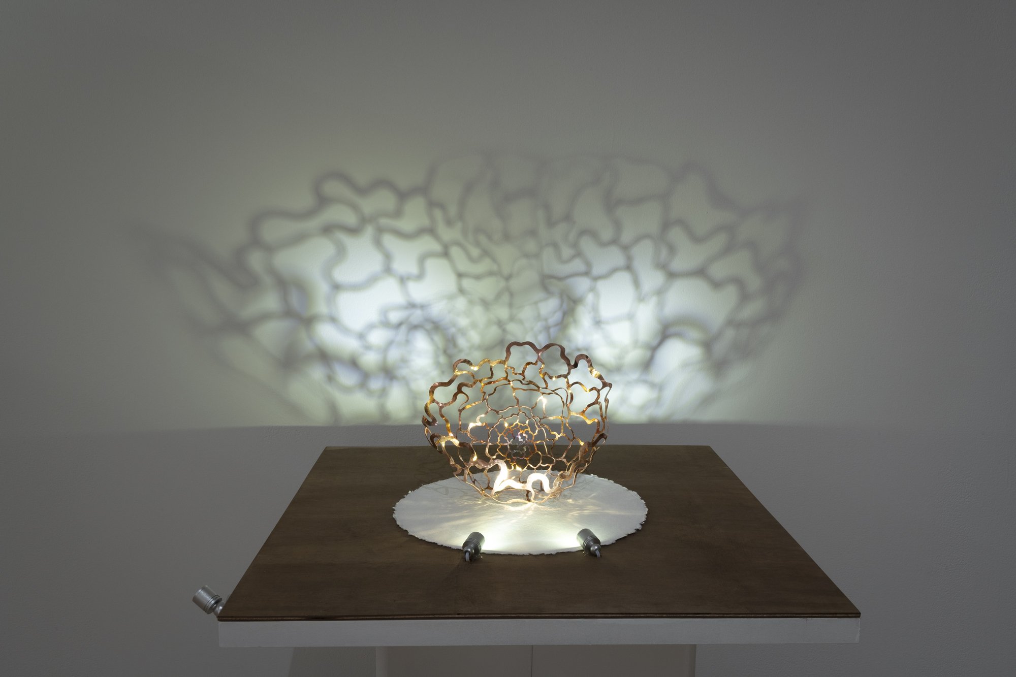 "Reflections"
Copper, 11” x 10” x 6”
Photo Credit: Sam Fritch