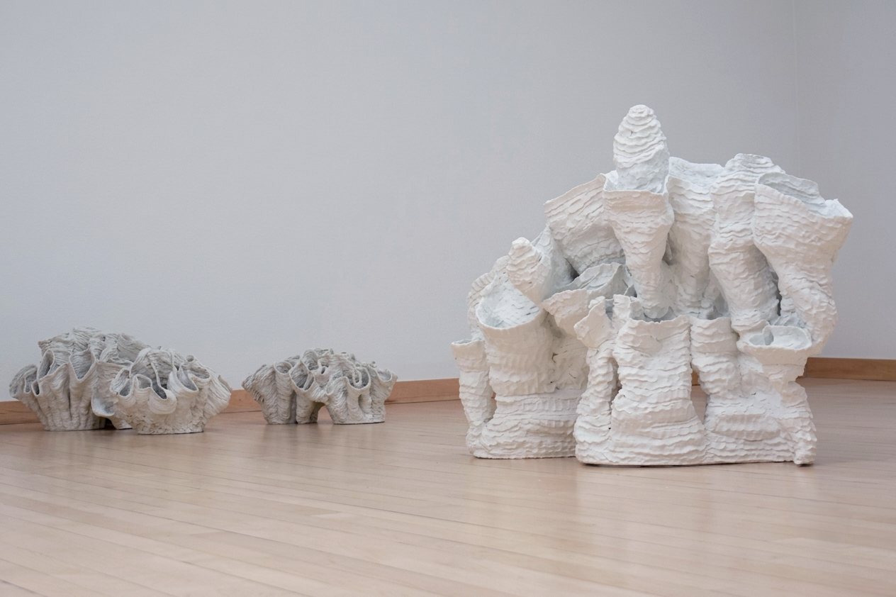 "Eutierria"
Installation view.
Porcelain. Dimensions: Variable.