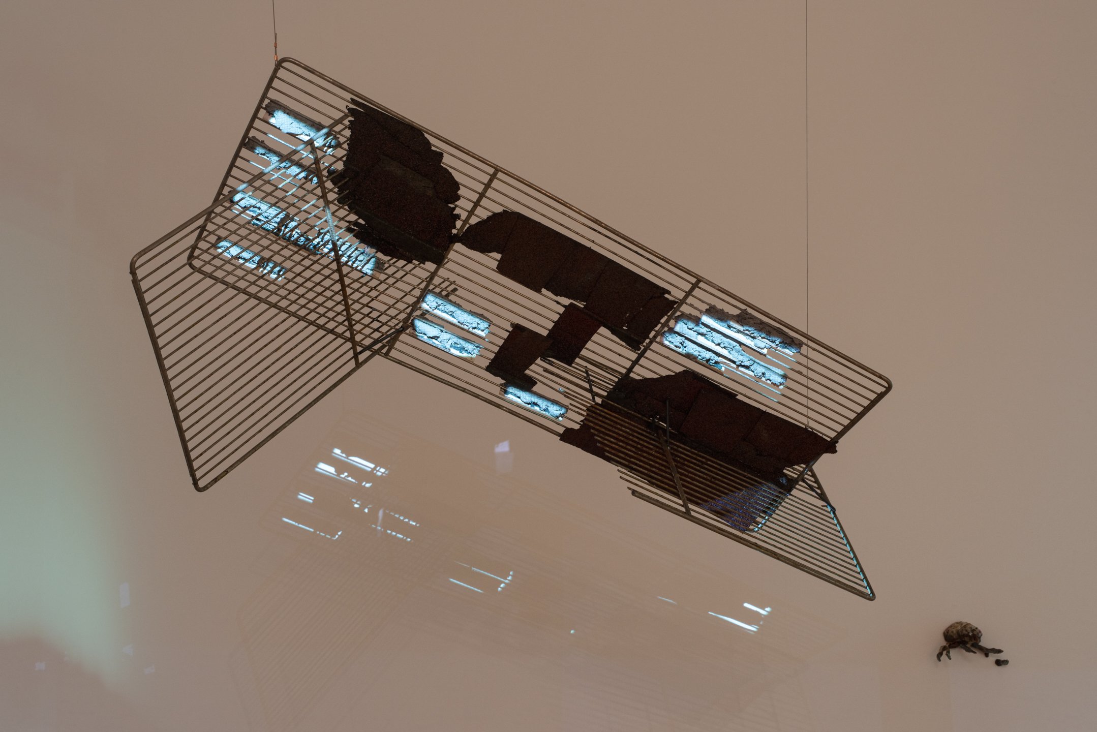 Untitled
Installation View
Reclaimed (steel, roofing, tile), and projection
60” x 22”x 24”
Photo Credit: Neighboring States