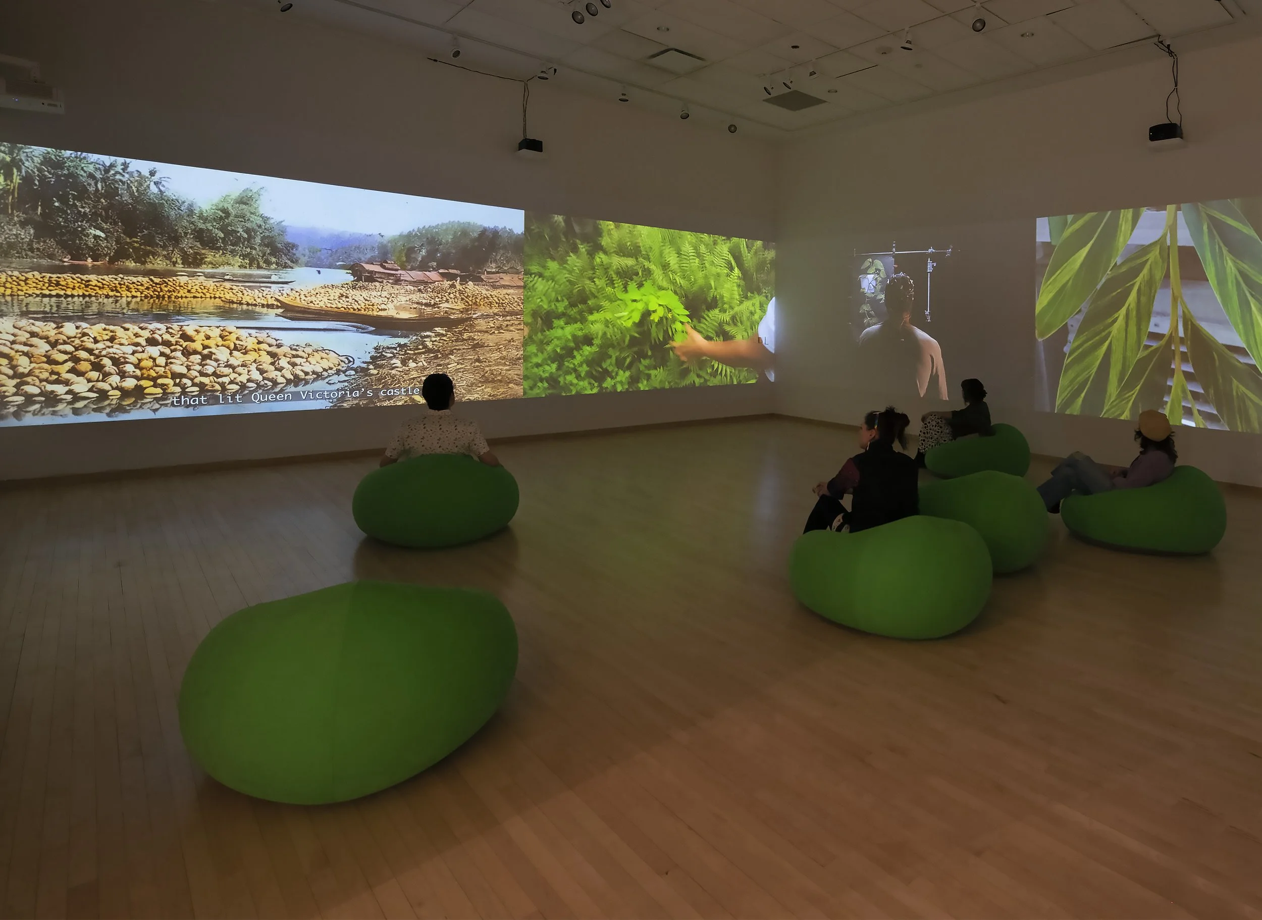 "Flora After," 4 channel video Installation, (12:48) Dimensions variable, 2026, Photo Credit: John Carlano  