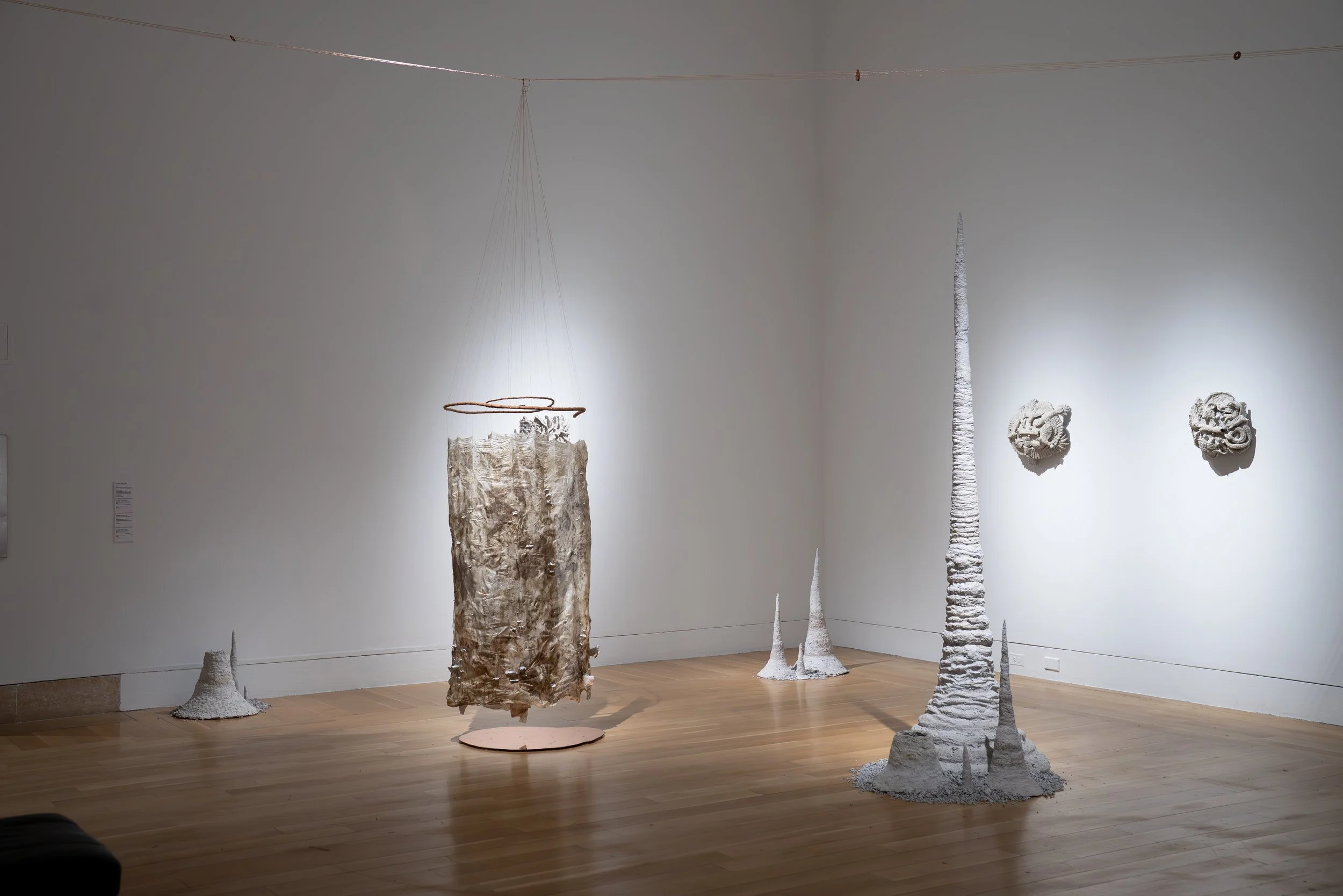 Meredith Tenney-Free, 
Syntropy Forms (Saints), 
2026, 
Silk dyed with leaves foraged from the farm I  
give my compost; smoketree branches from  
the parking lot next door; copper wire, plate,  
and leaf; catalogs and magazines collected  
from nume
