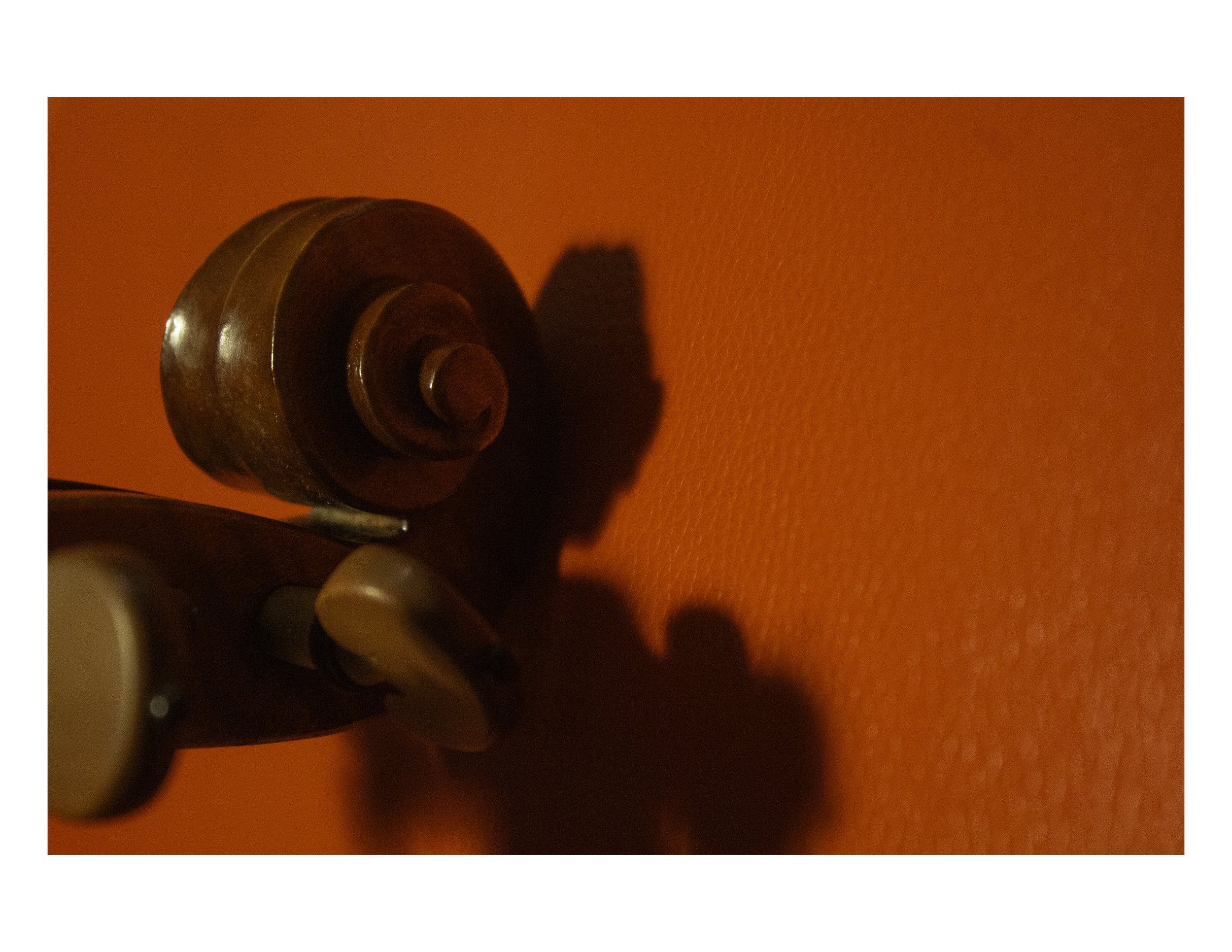 "Voice" Digital Photograph  