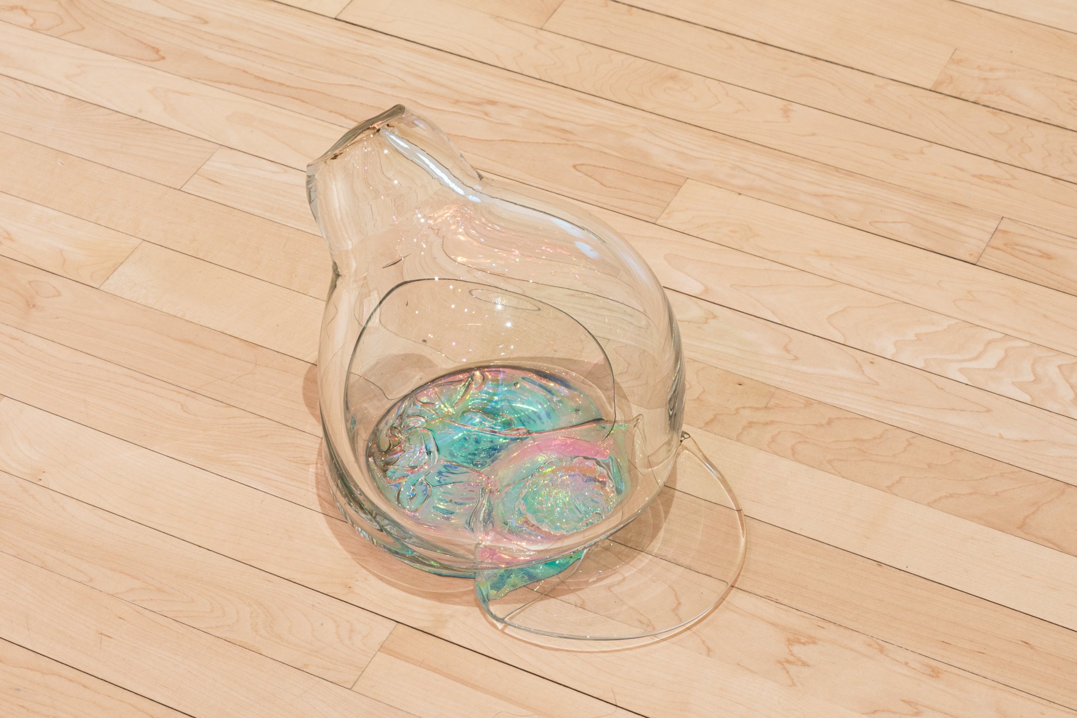 "Primordial Creation" (detail), Installation, 2025, Glass and Vinyl. Size Variable Photo Credit: Neighboring Sates