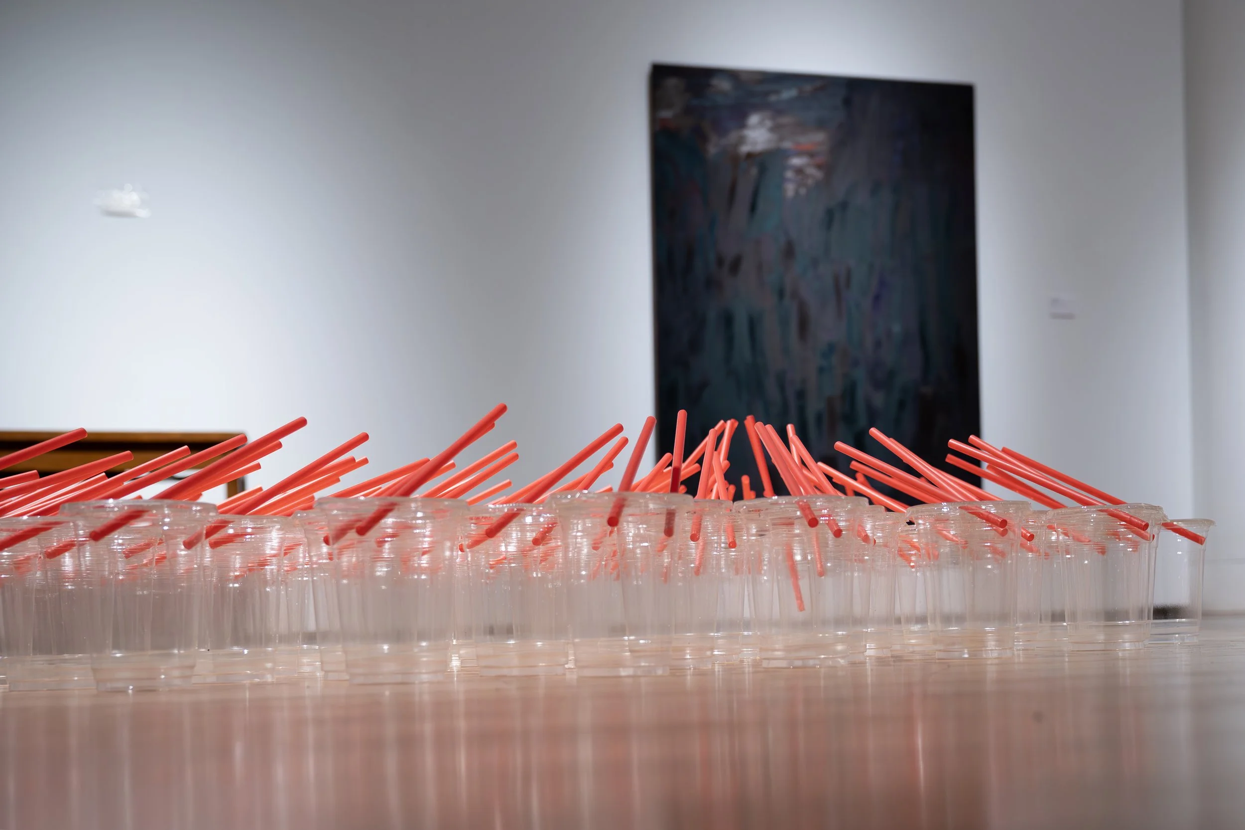 Gwyneth Zeleny Anderson, 
Chorus,
2026, 
Plastic cups and straws. 
7" x 40" x 40" 