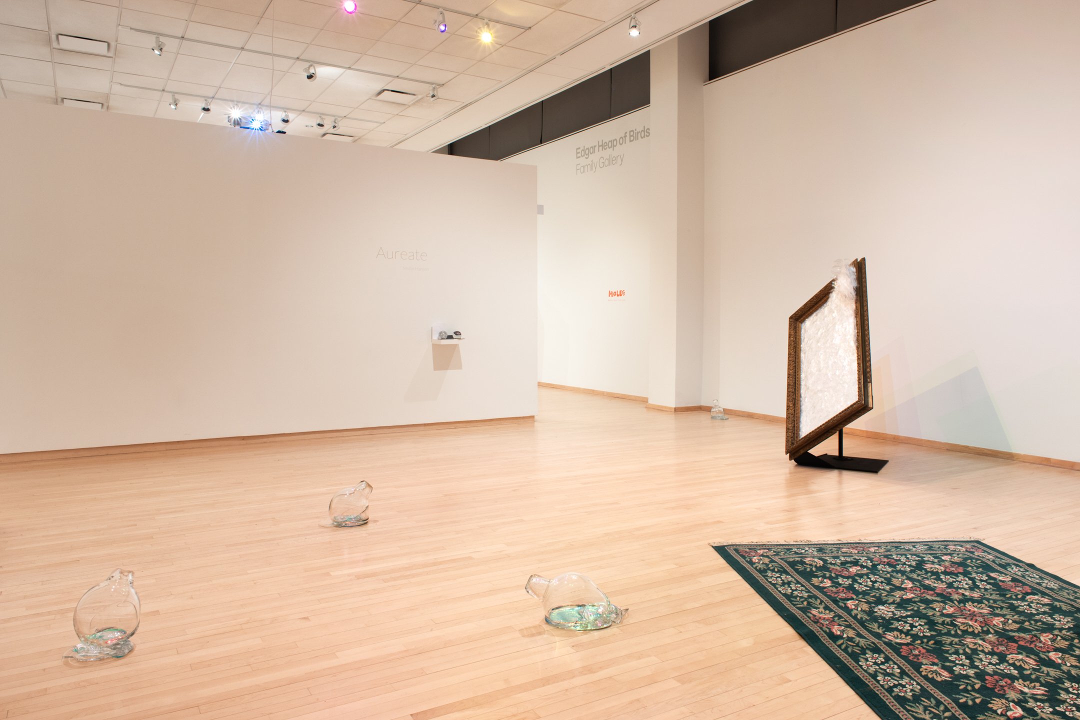 "Aureate," Installation view, Dimensions variable, 2025, Photo Credit: Neighboring States