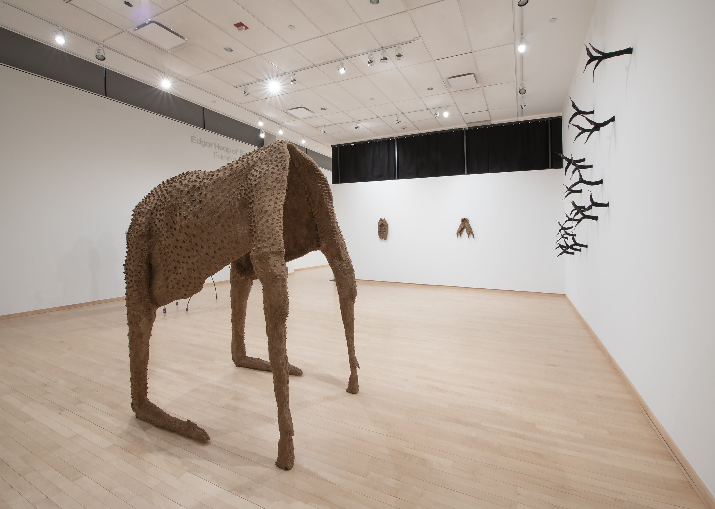 “Behemoth” Installation view, Photo Credit: John Carlano