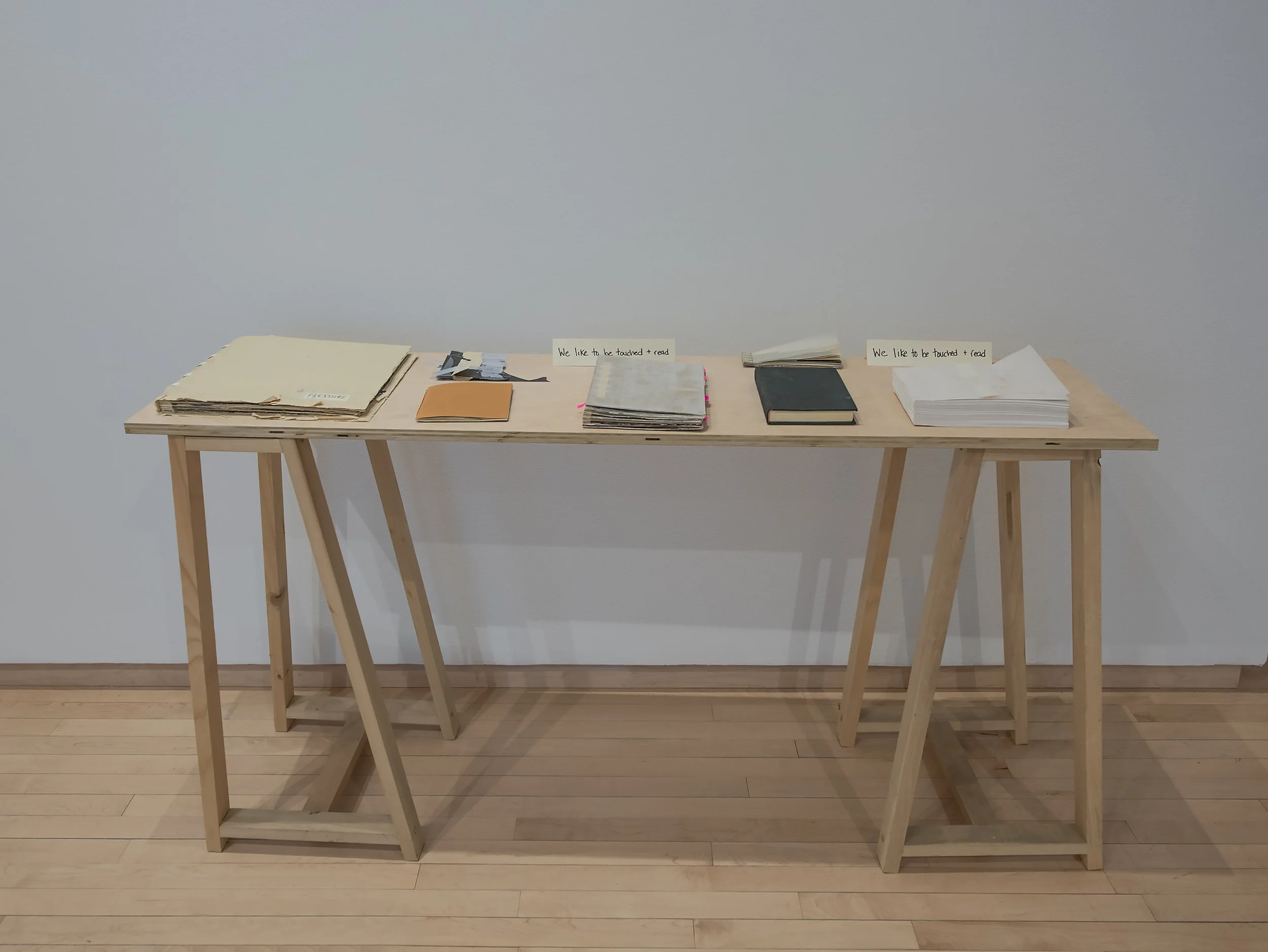 "life pro" (detail), Installation View, Photo Credit: John Carlano