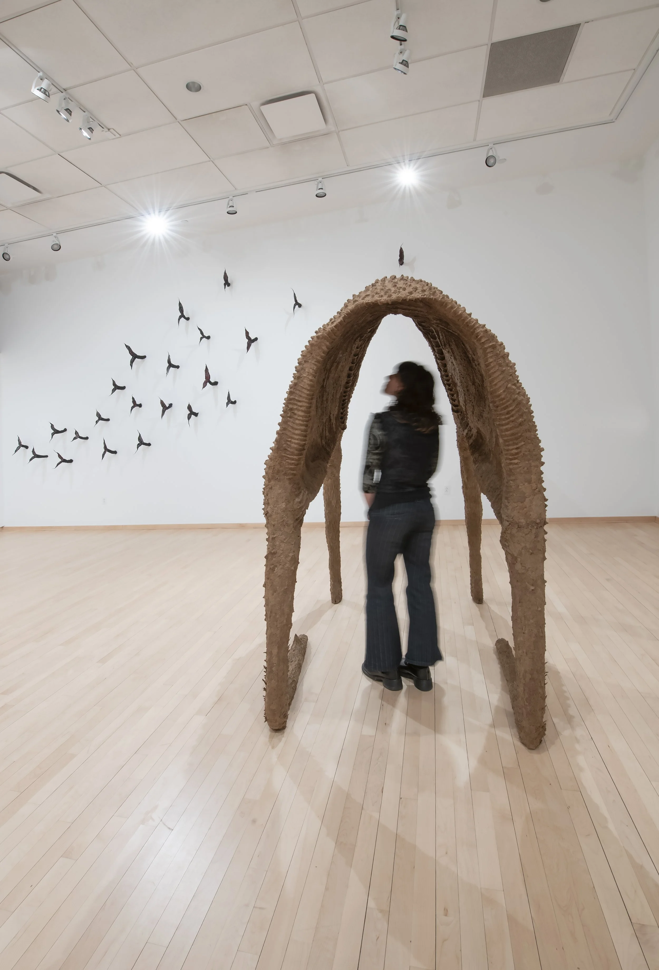 “Moose Husk,” Installation view, Wool,
cardboard pulp, glue, chicken wire, wood, pvc. Photo Credit: John Carlano