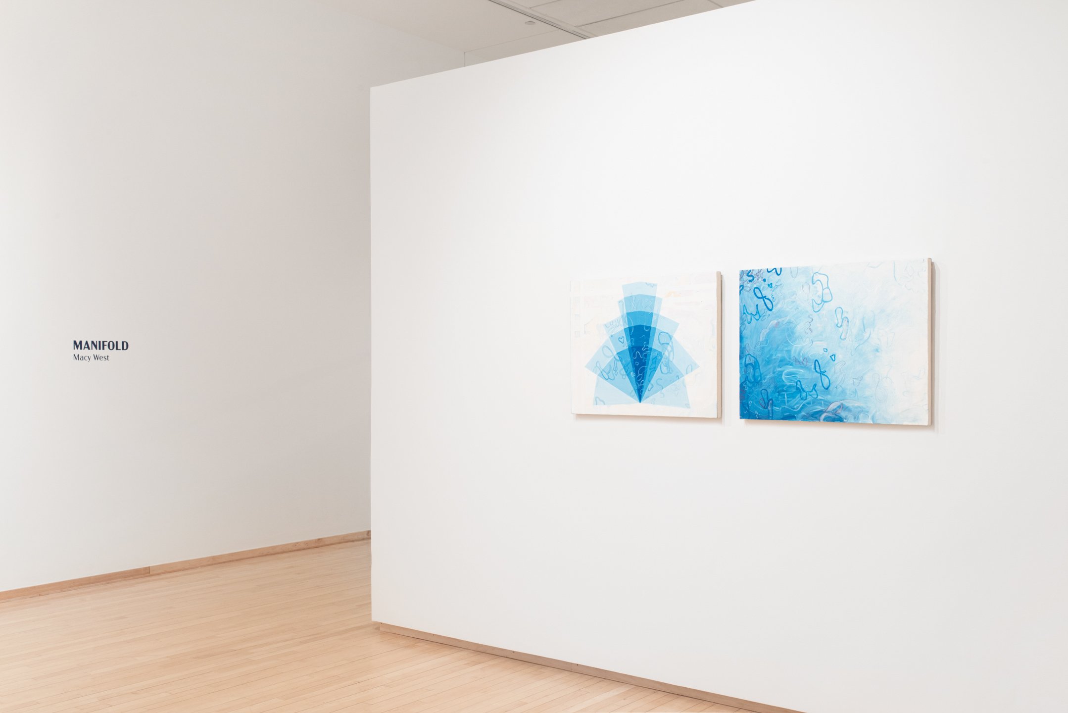 "Manifold" installation view 1. Photo Credit: Neighboring States