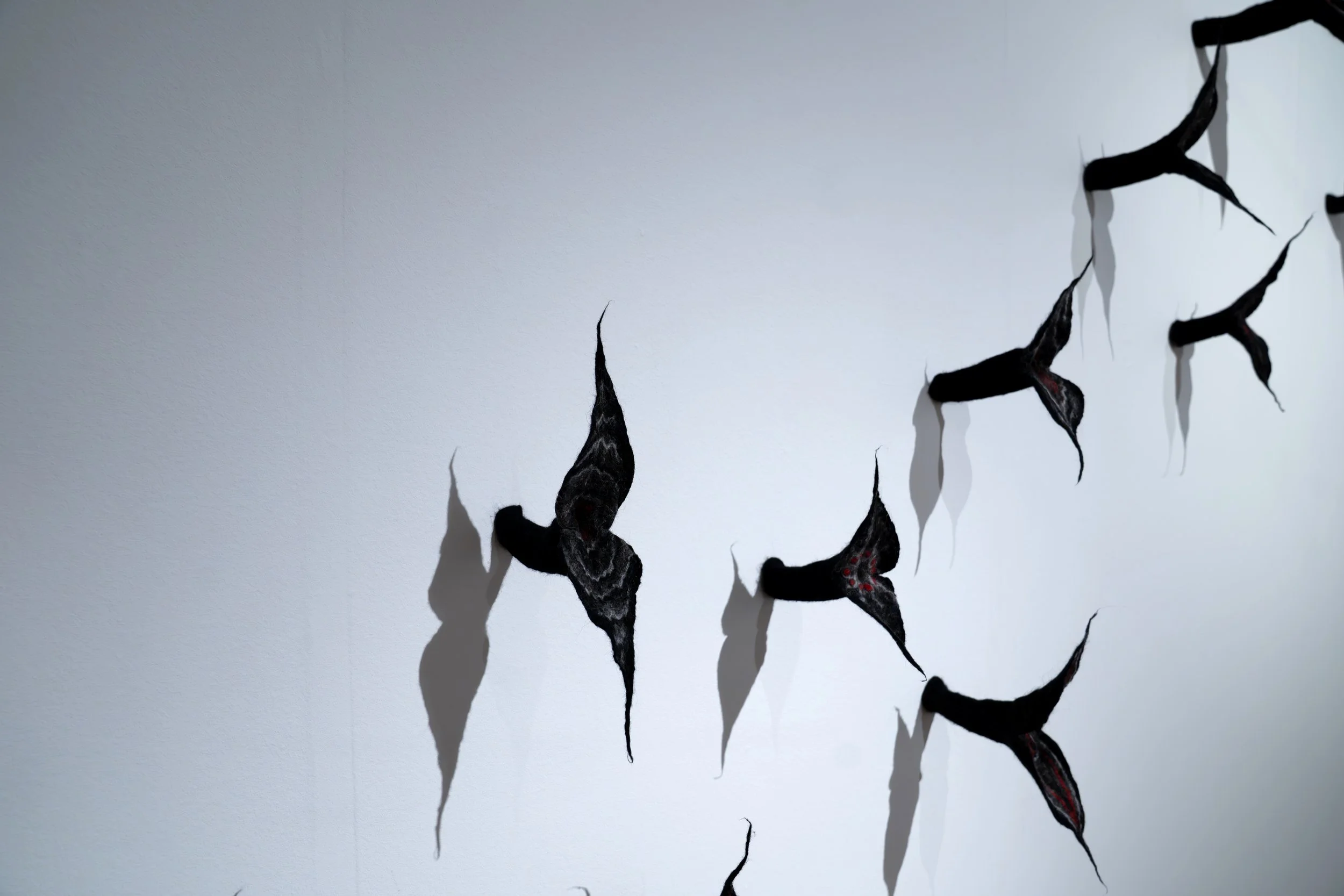 Lena Ruth Schwartz, 
Flock, 
2026, 
Wool. 
Dimensions variable