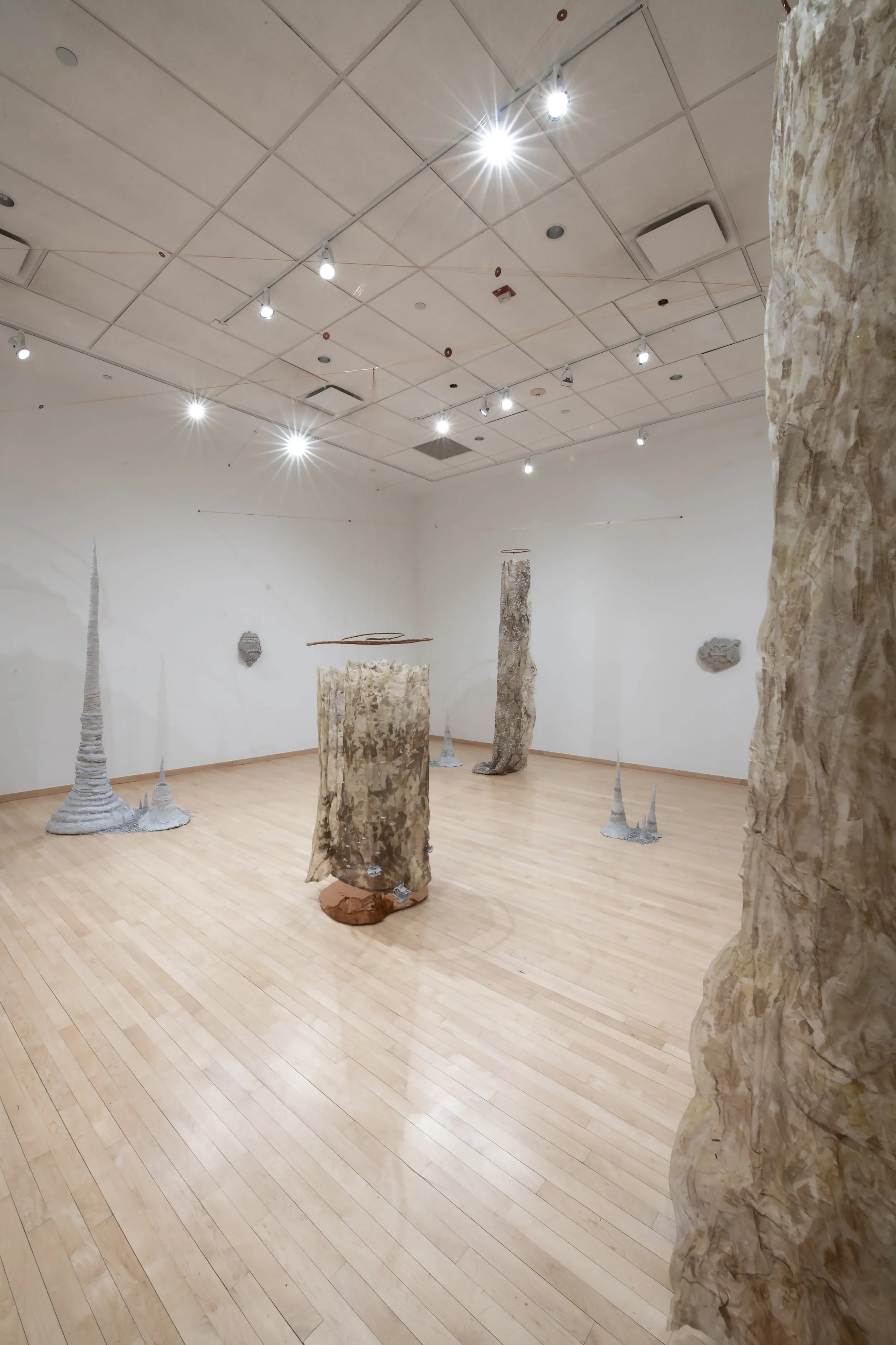 "If a Tree Falls" Installation View, Photo Credit: John Carlano