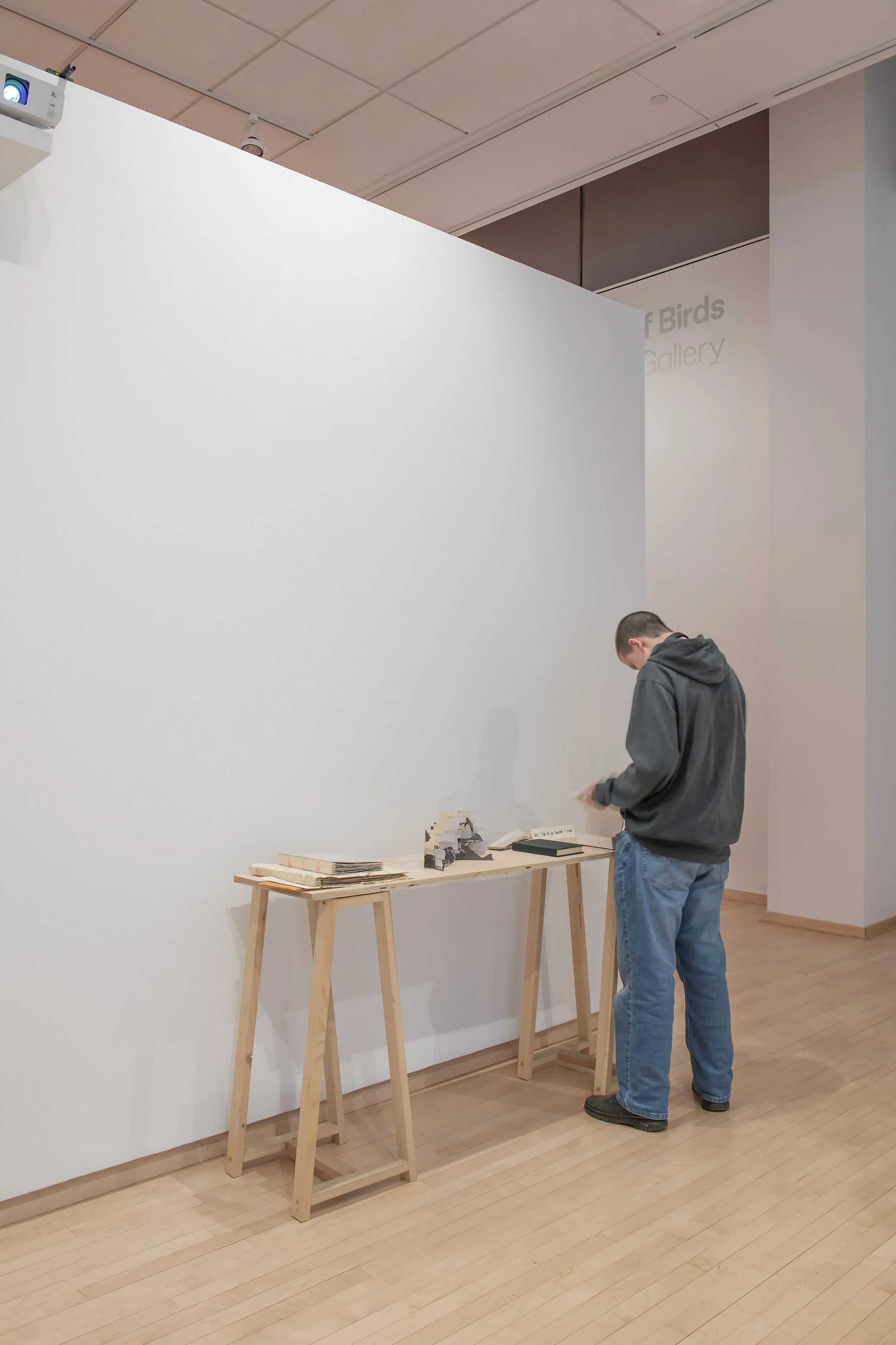 "life pro," Installation View, Photo Credit: John Carlano