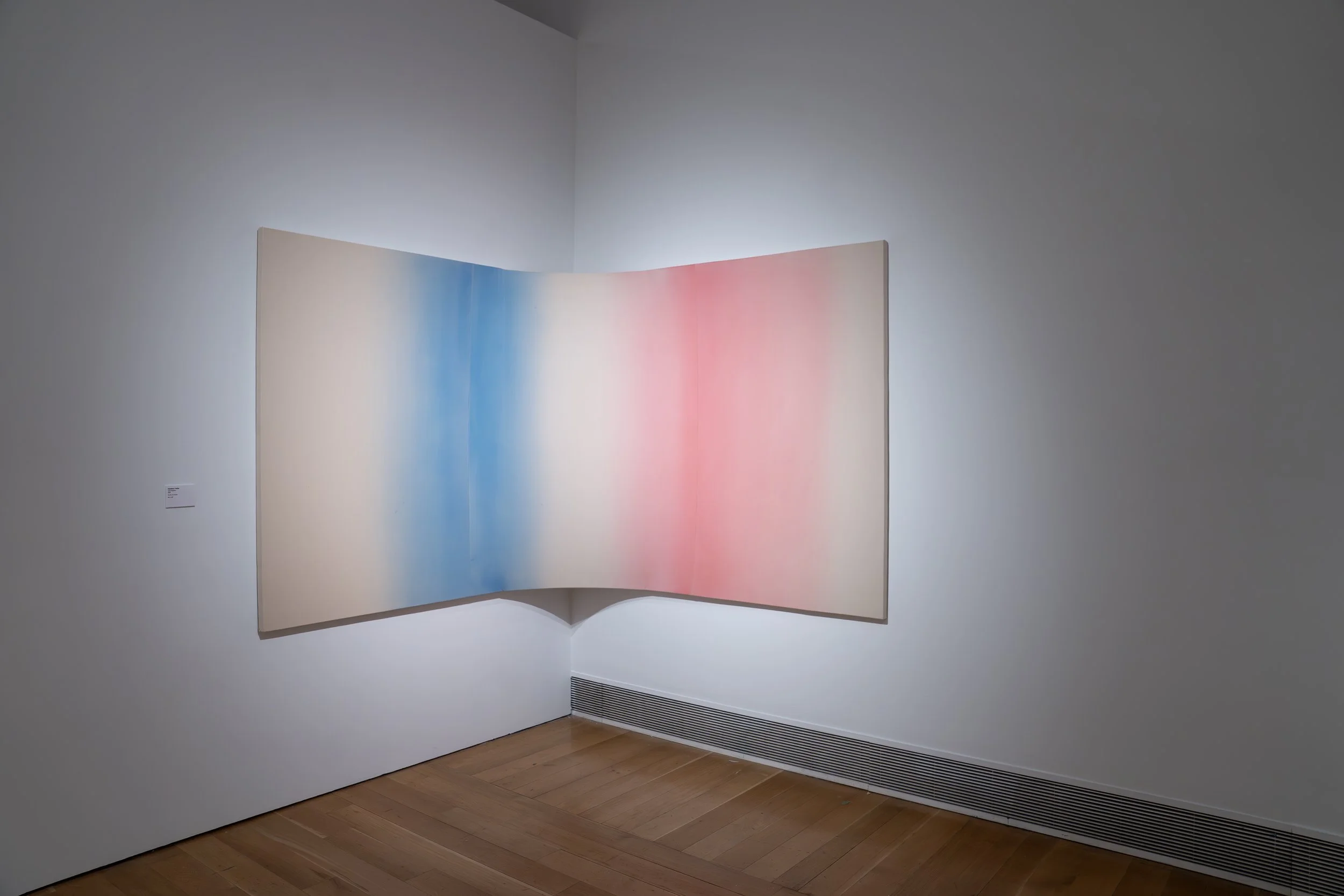 Madison Tubbs,
Knee Gradient,
2026, 
Acrylic on canvas. 
60" x 126"