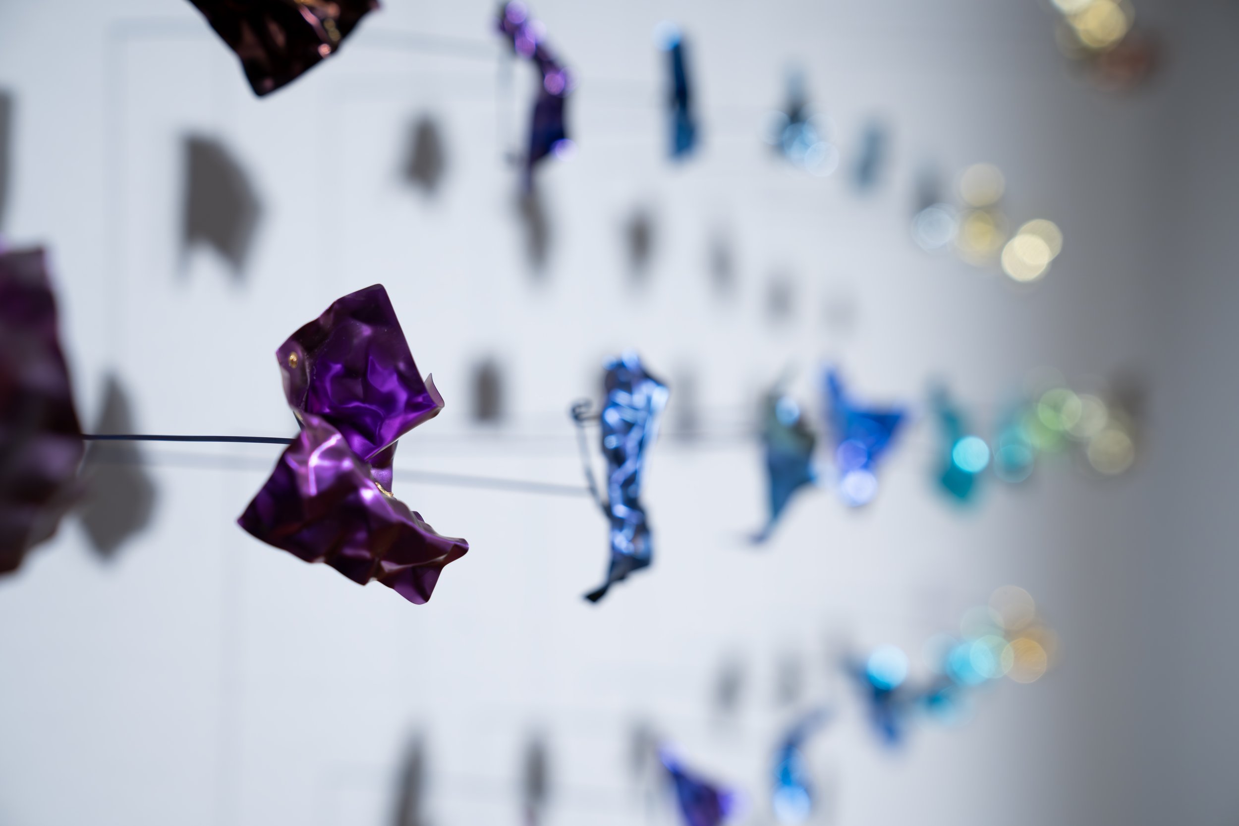 Weiwei Li, 
Quiet Fragments, 
2026, 
Titanium, niobium, gold foil. 
38 individual pieces. 
 55" x 17" x 6"