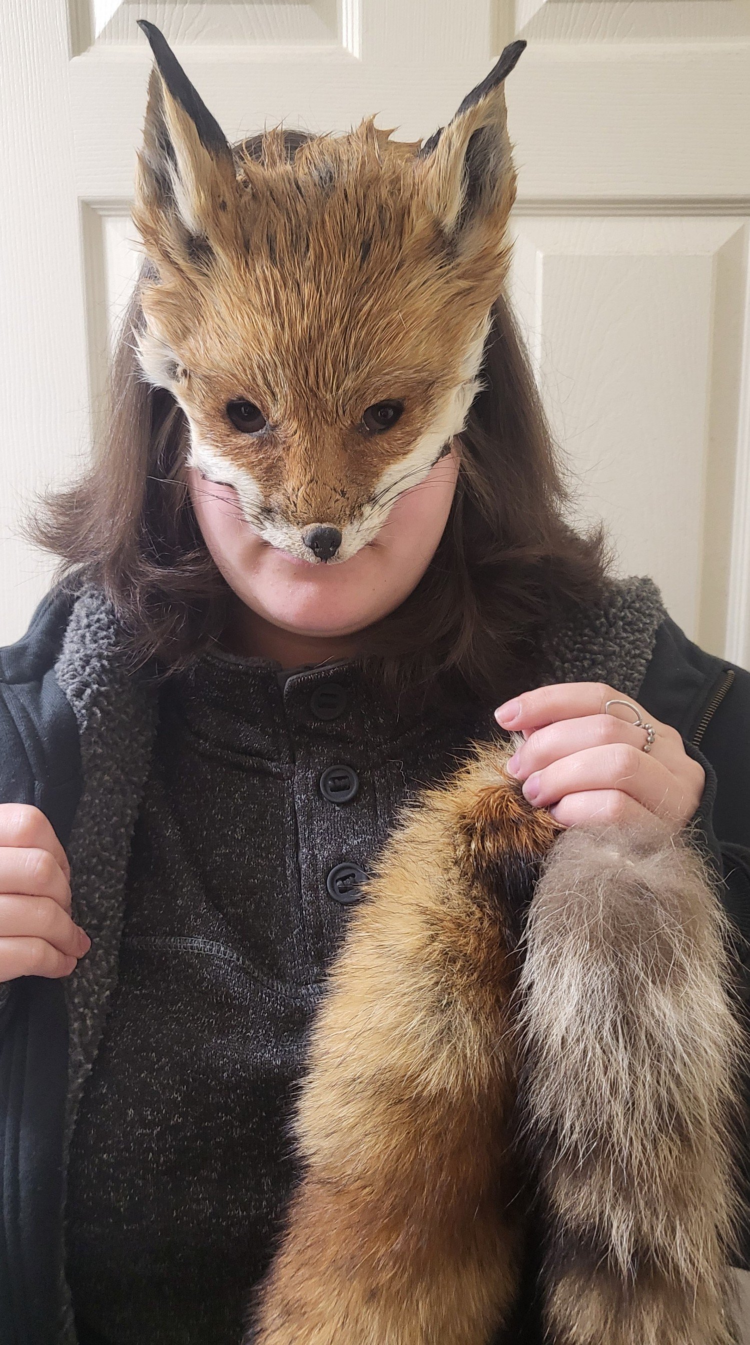 Fox Mask and Tail (Worn), 2025, Roadkill fox pelt and twine