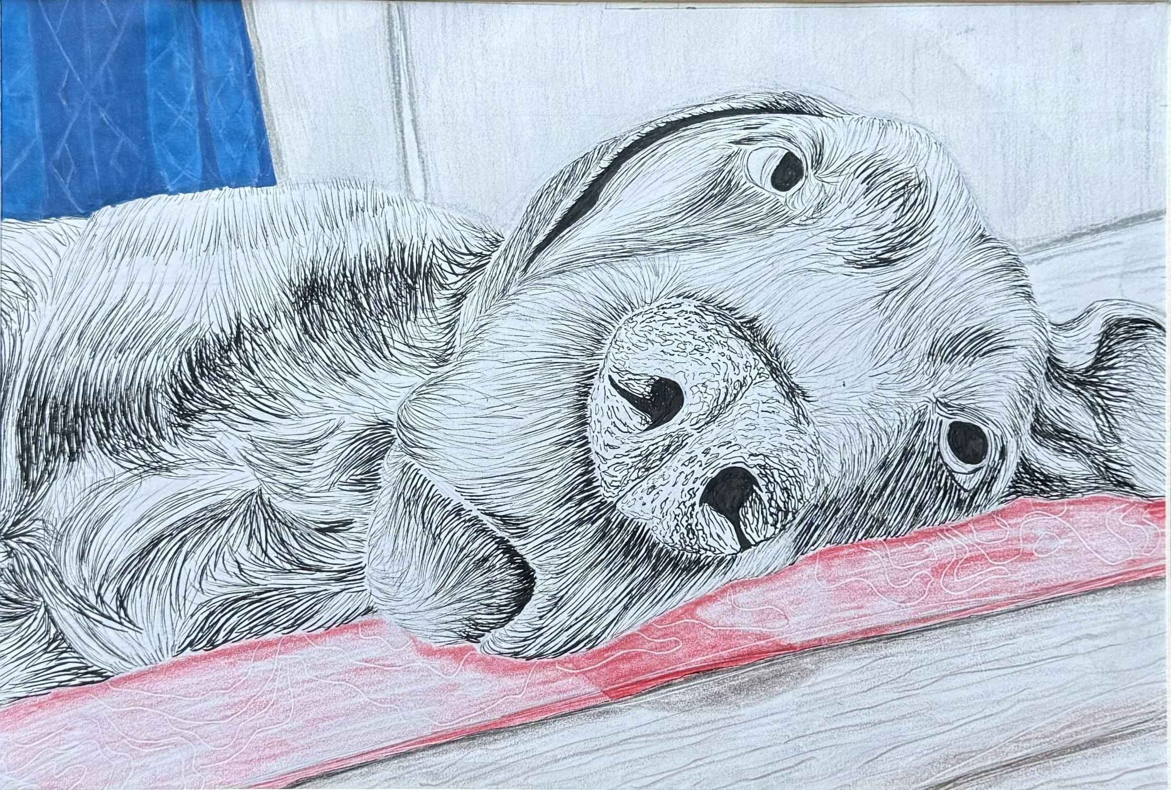 "Phil" 2022, Pen + colored pencil on paper, 10" x 12"