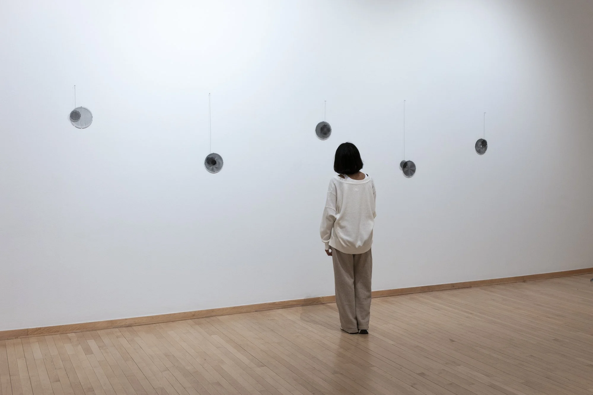 "Moiré Pendulums," Installation, Acrylic, vinyl, steel wire. Dimensions variable. Photo Credit: Sam Fritch