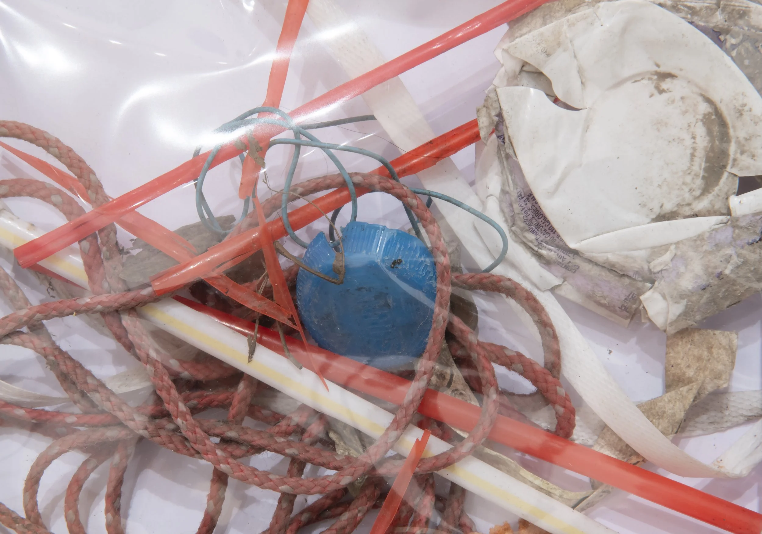 "Found Object Archive"

Detail,

Found Objects, Envelope with Acetate Window, 8.5”x12”x1”

Photo Credit: John Carlano