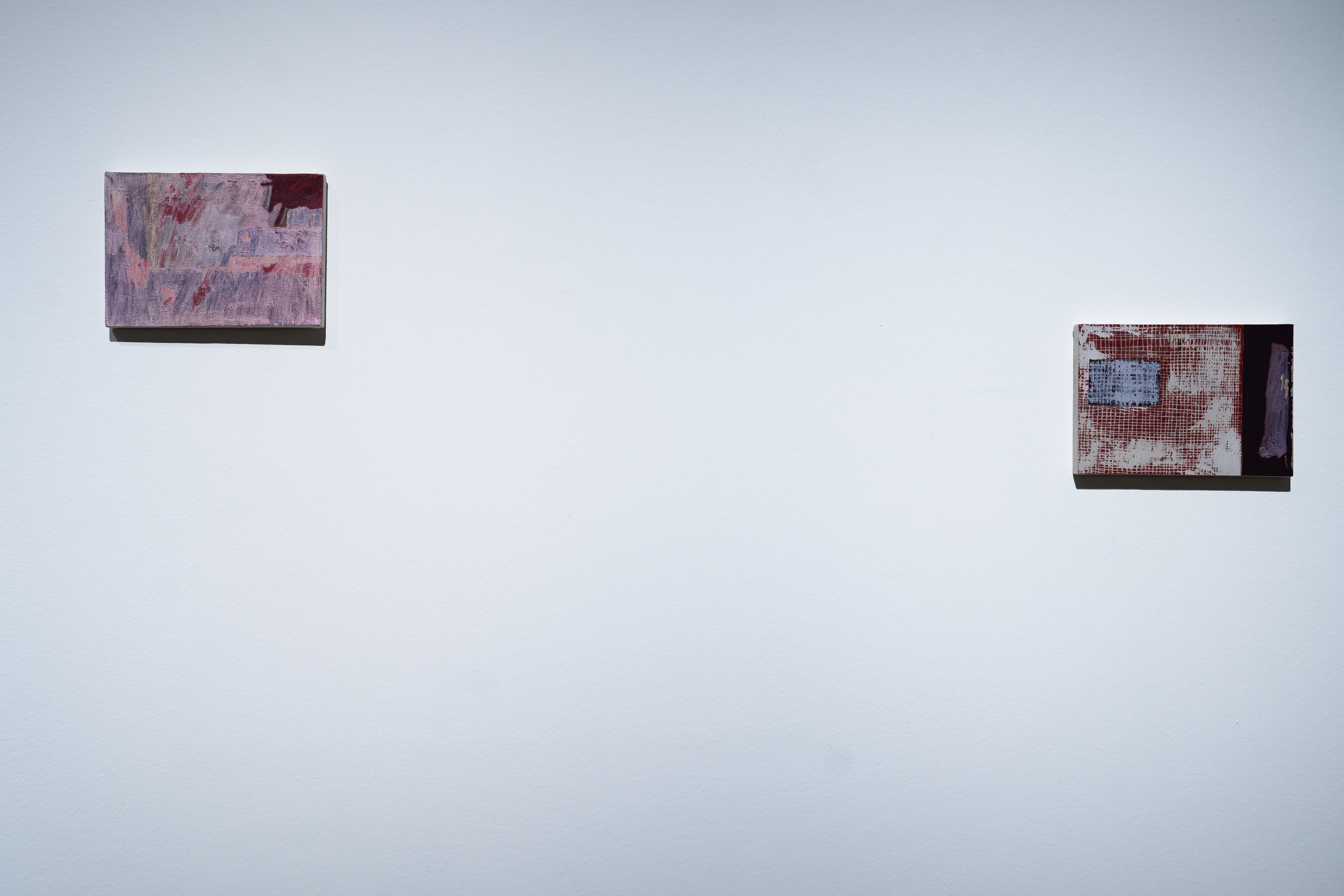 Nabeel Naveed, 
Cloud,
2026, 
Oil on muslin. 
12" x 8 1/2" 
and
Nabeel Naveed 
Grid & Eucalyptus 
2026 
Oil on muslin. 
12" x 8.5" 
