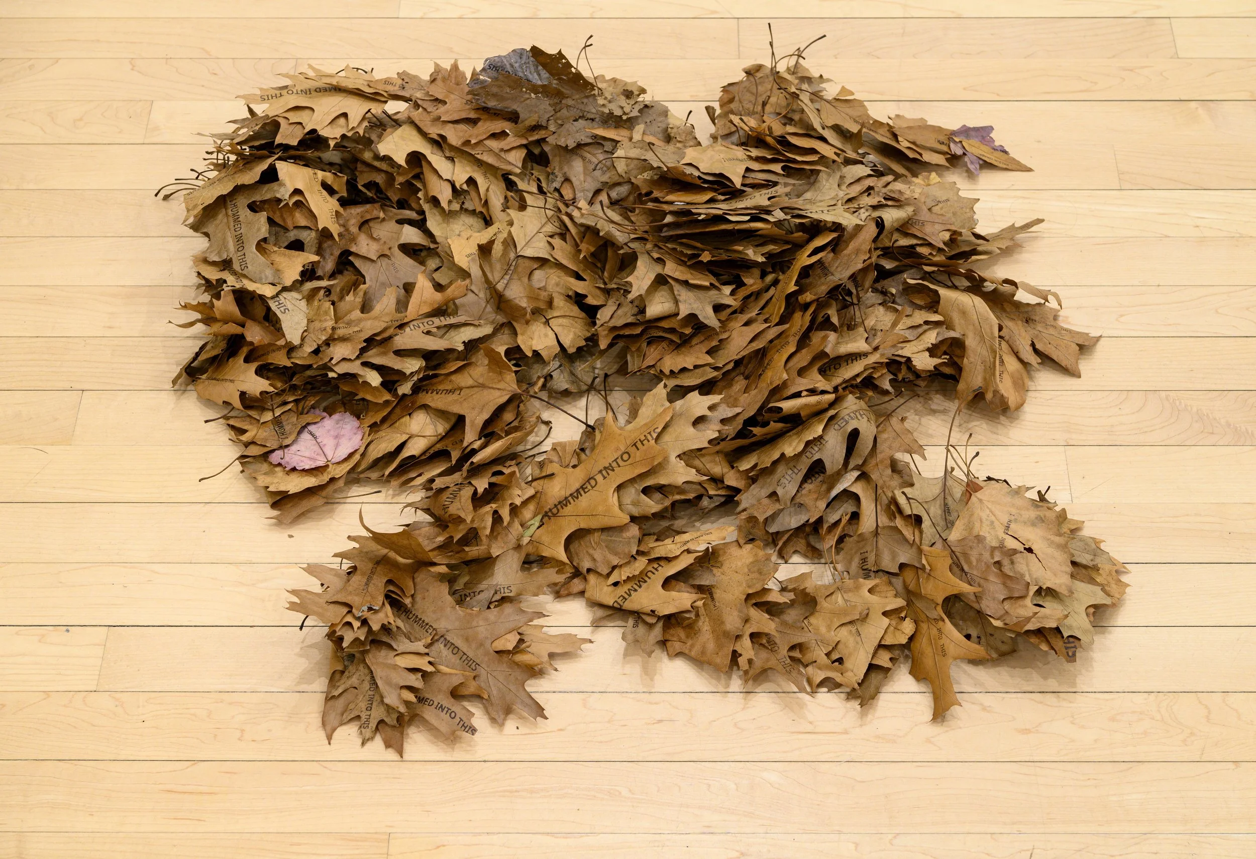 "Humming pile"
Inkjet printed leaves from the front lawn. Dimensions variable.
Photo credit: Constance Mensh.
