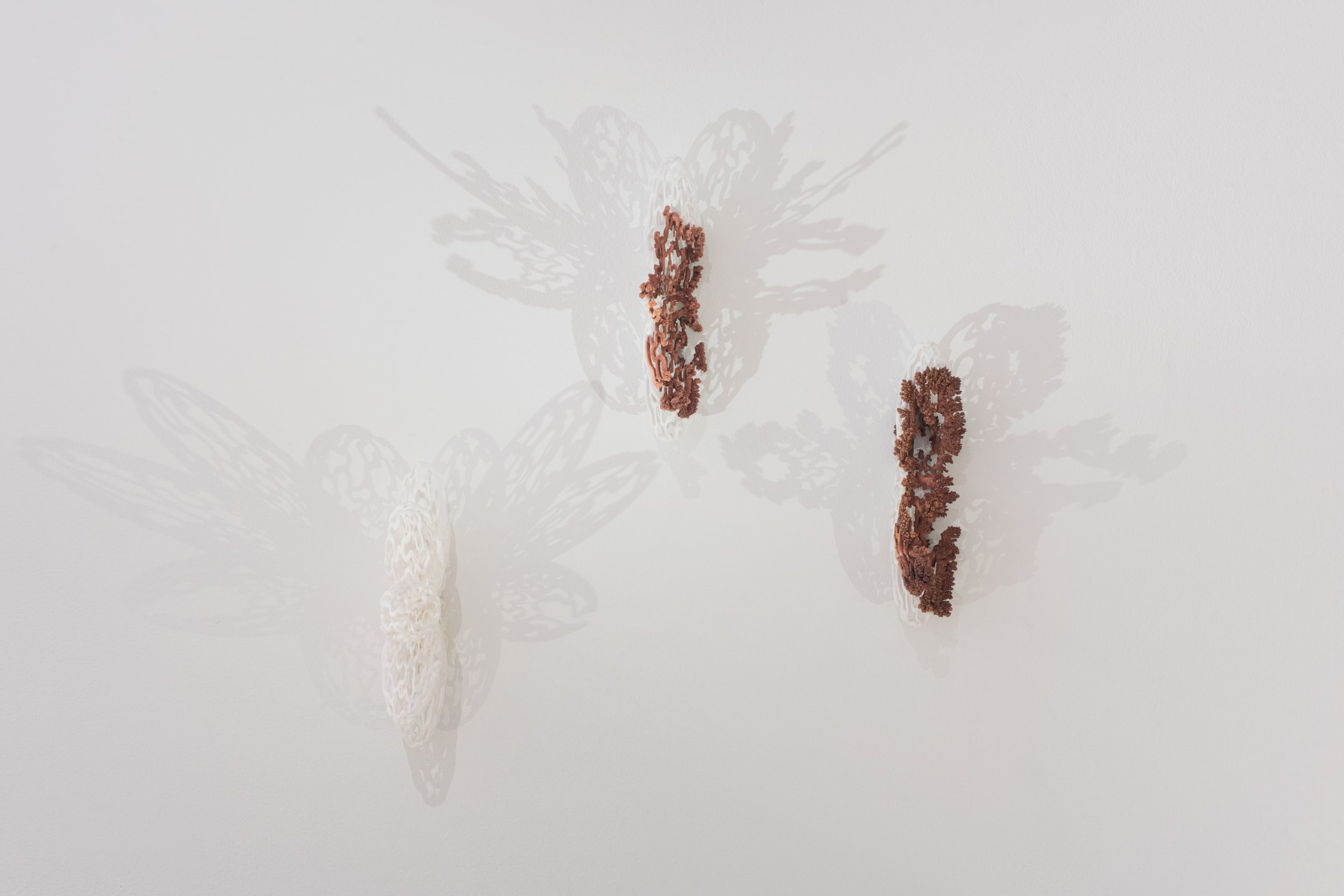"Seeping"
Resin Print, Copper, 10” x 6” x 1.5” Each
Photo Credit: Neighboring States