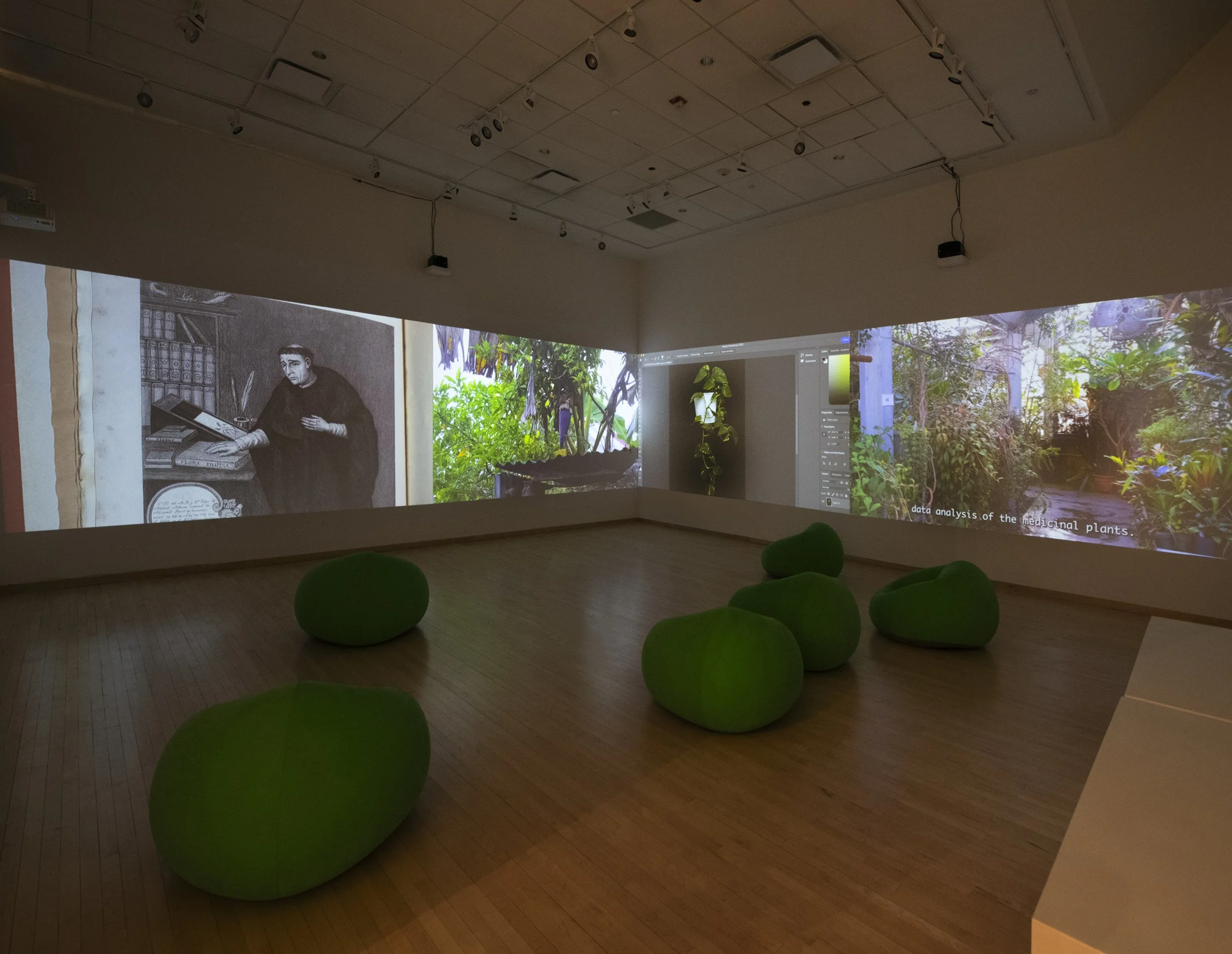 "Flora After," 4 channel video Installation, (12:48) Dimensions variable, 2026, Photo Credit: John Carlano  