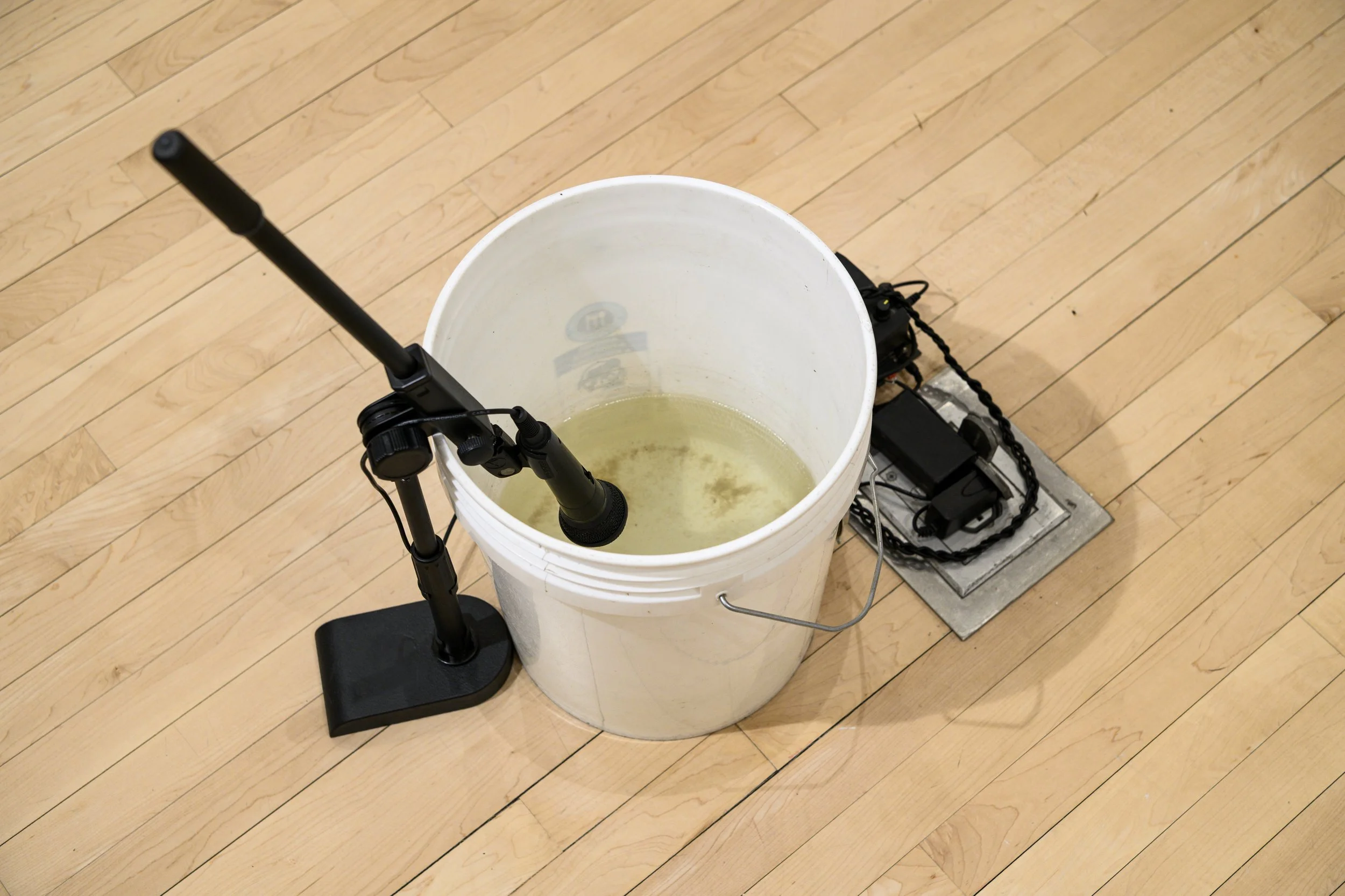 "Floodwater collected while we waited two hours for campus police to help"
Floodwater, bucket, microphone, transducer, audio electronics. Dimensions variable.
Photo credit: Constance Mensh.