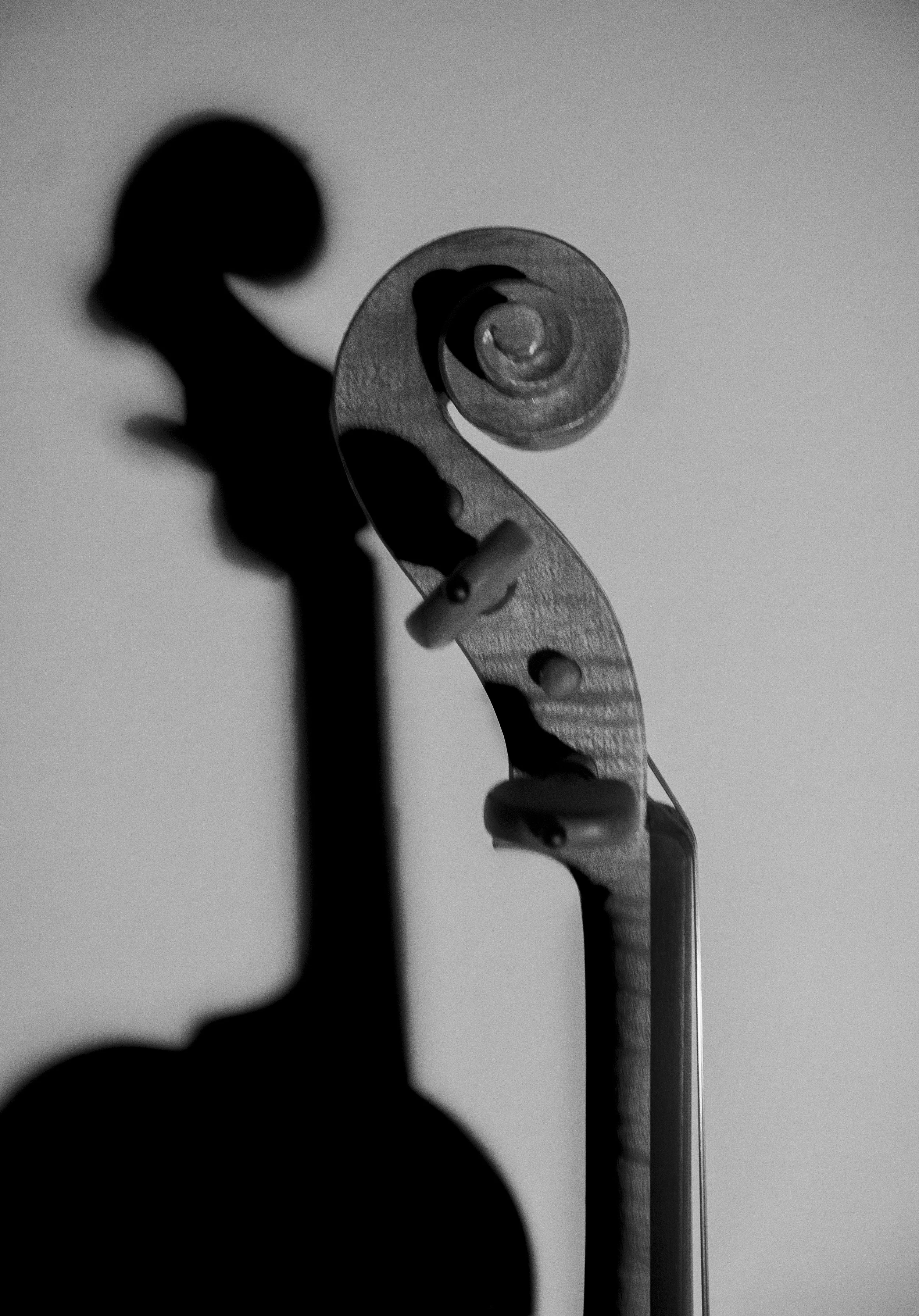 "Voice" Digital Photograph  