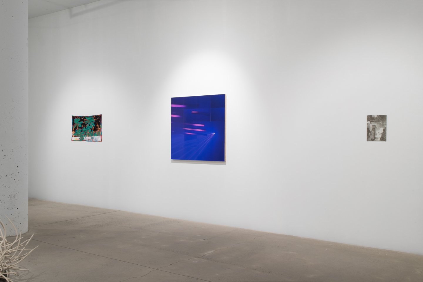 "How long does it take for a Peacock to die?" Installation view. Photo Credit: Neighboring States
