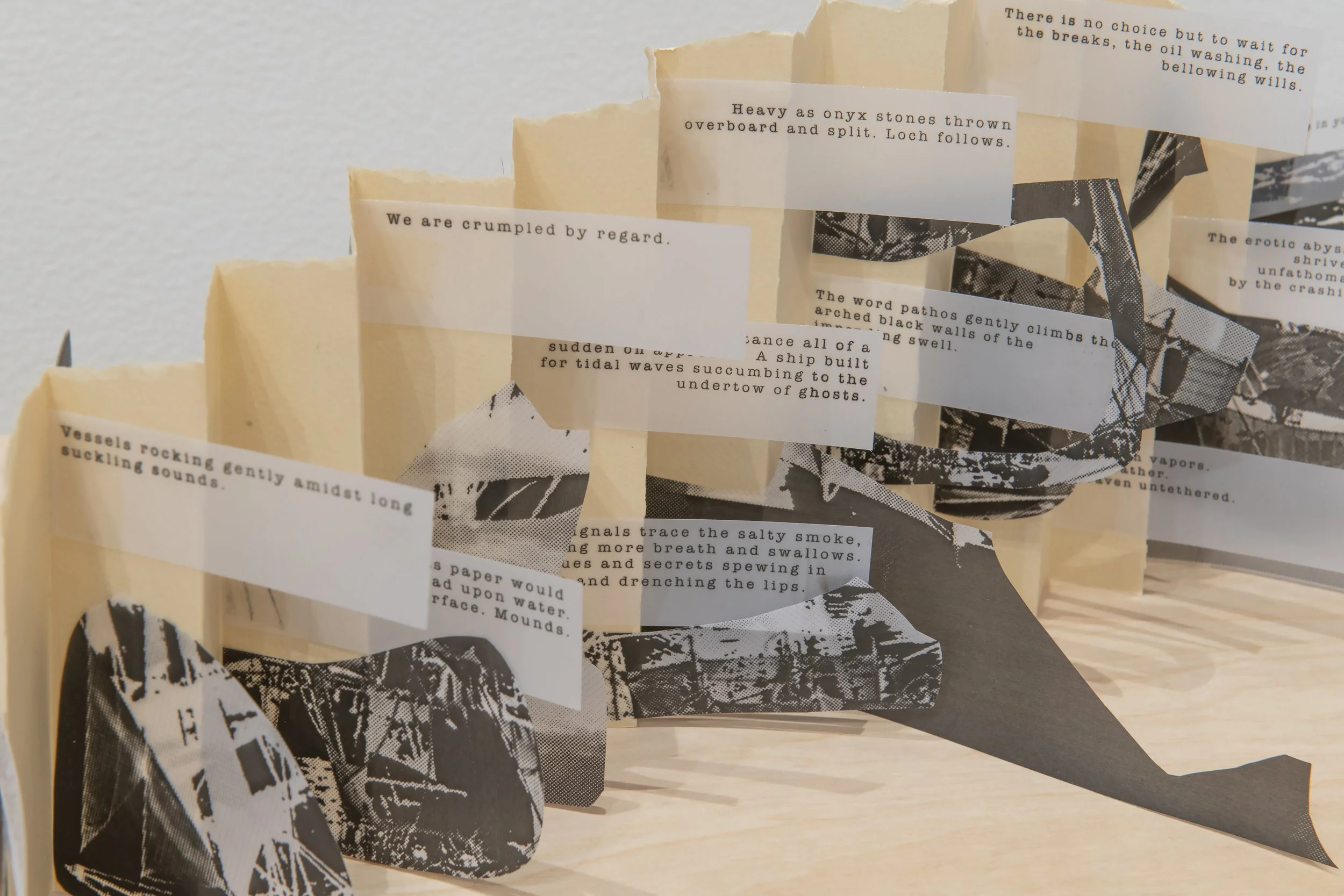 "life pro" (detail), Installation View, Photo Credit: John Carlano