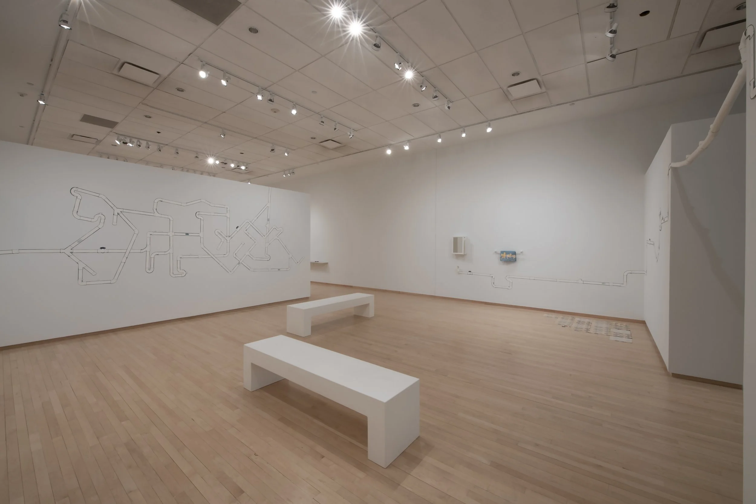 "Really Gotta Go" Installation View, Photo Credit: John Carlano