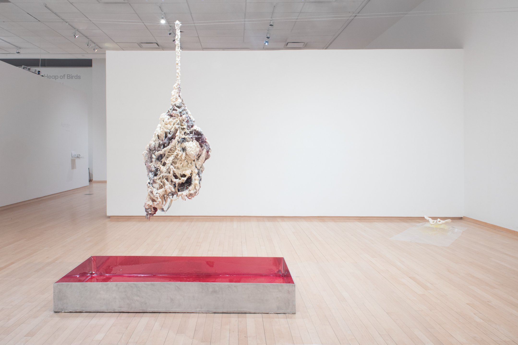 "I’m holding," 2025, Installation
Dimensions variable. Photo Credit: Neighboring States