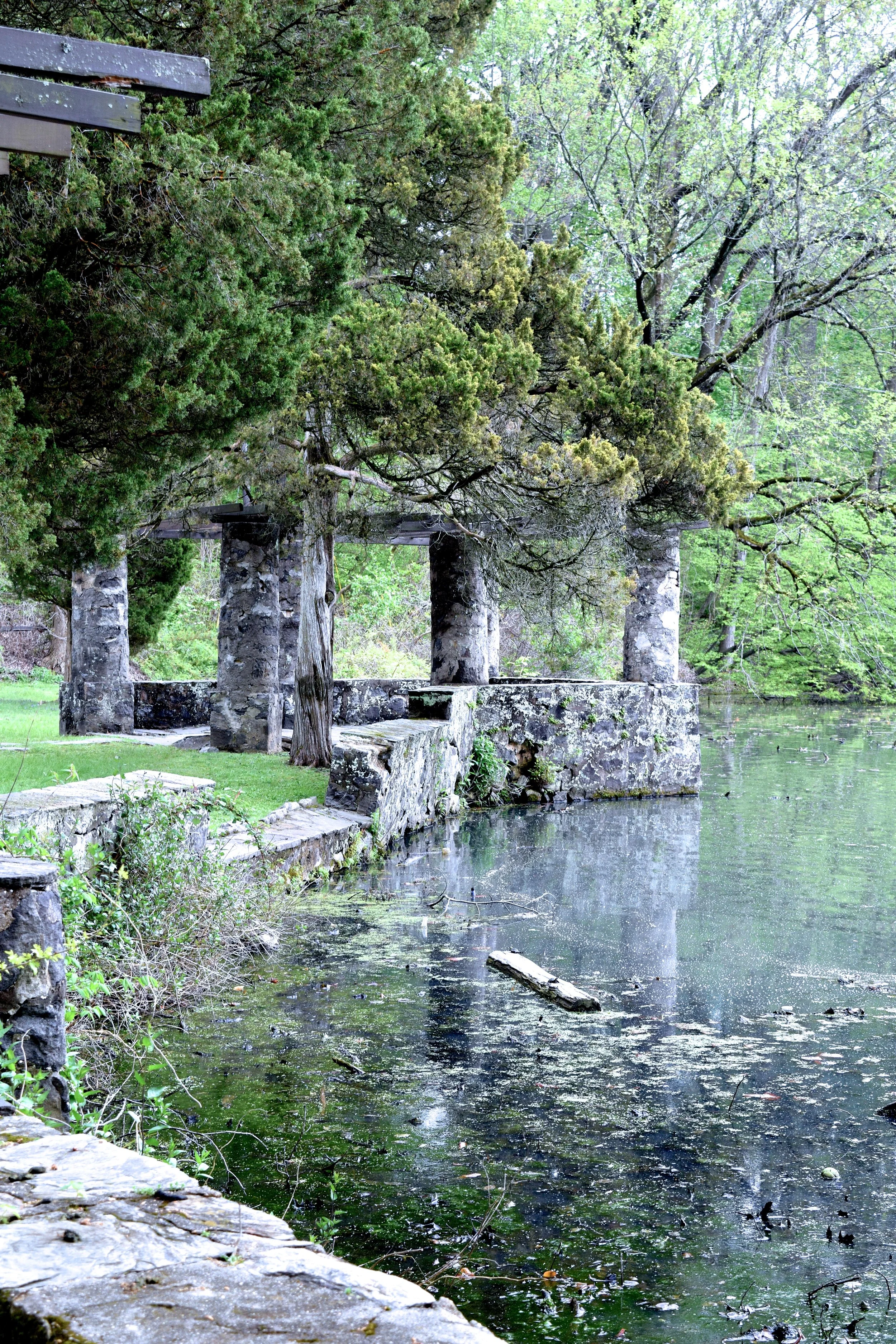 “Pond," 2017, Digital Photography, 8” by 10”