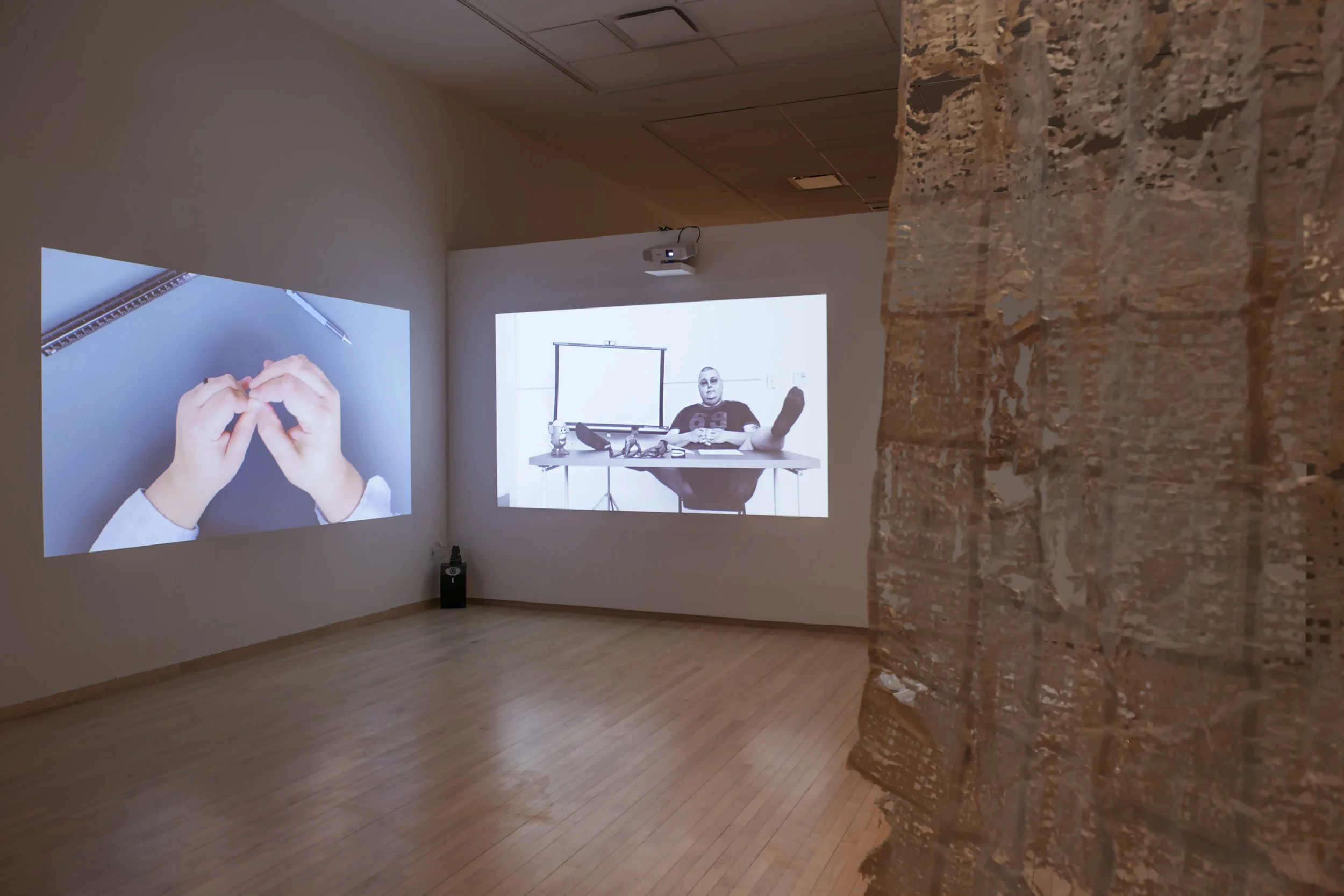 "life pro," Installation View, Photo Credit: John Carlano