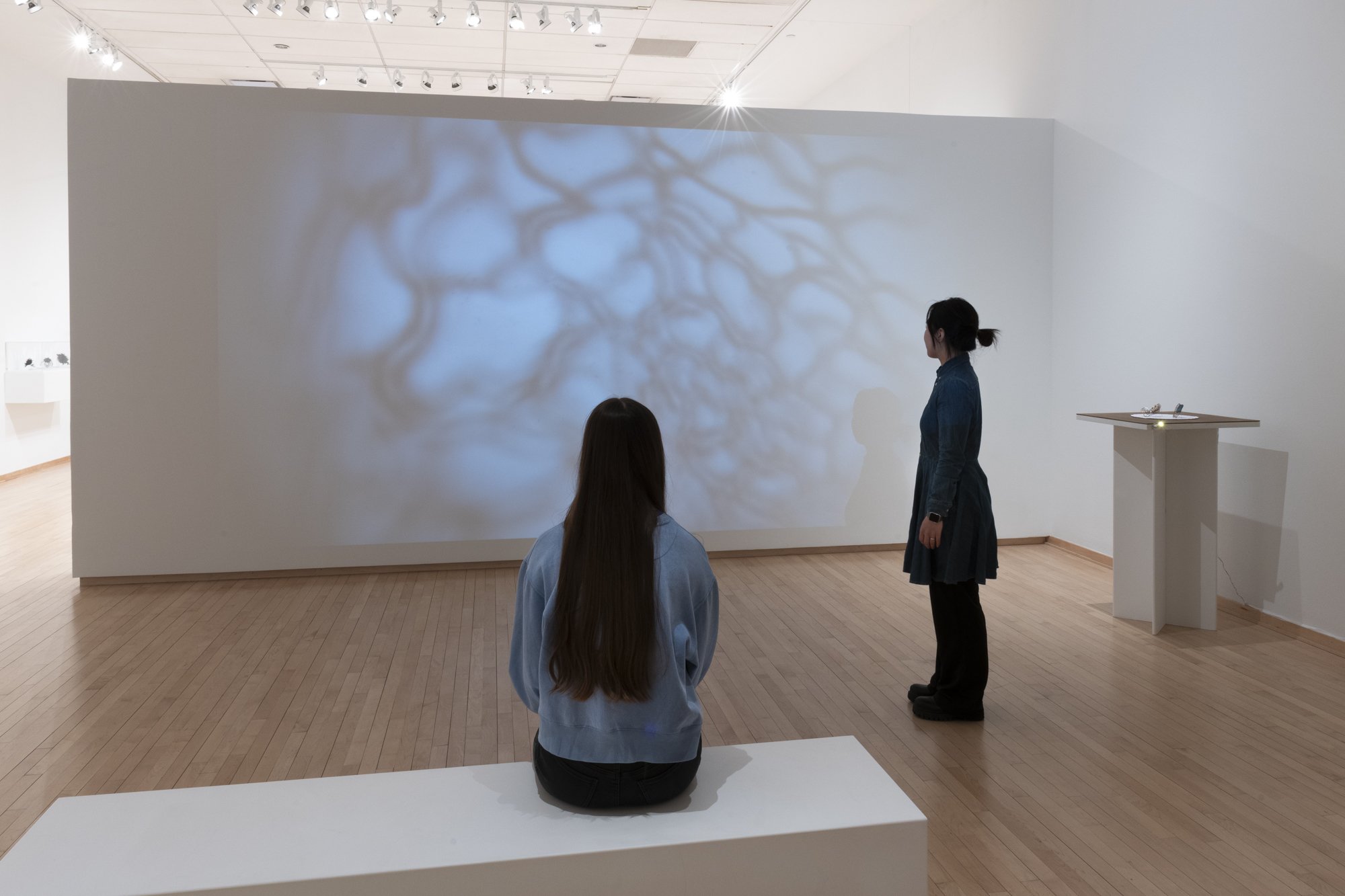 "Light Projection"
Video, 16:25
Photo Credit: Sam Fritch